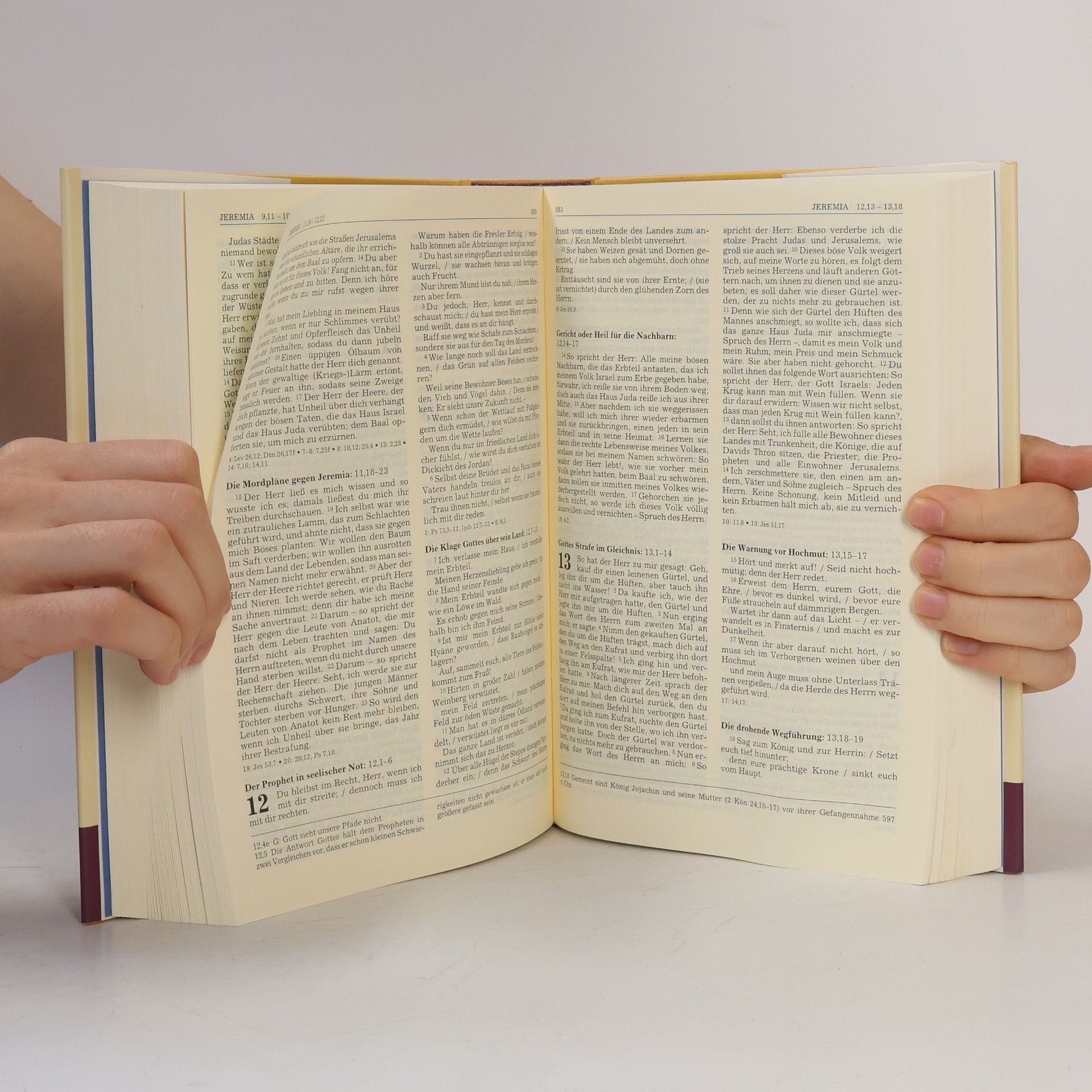 Michael Blum Die Bibel