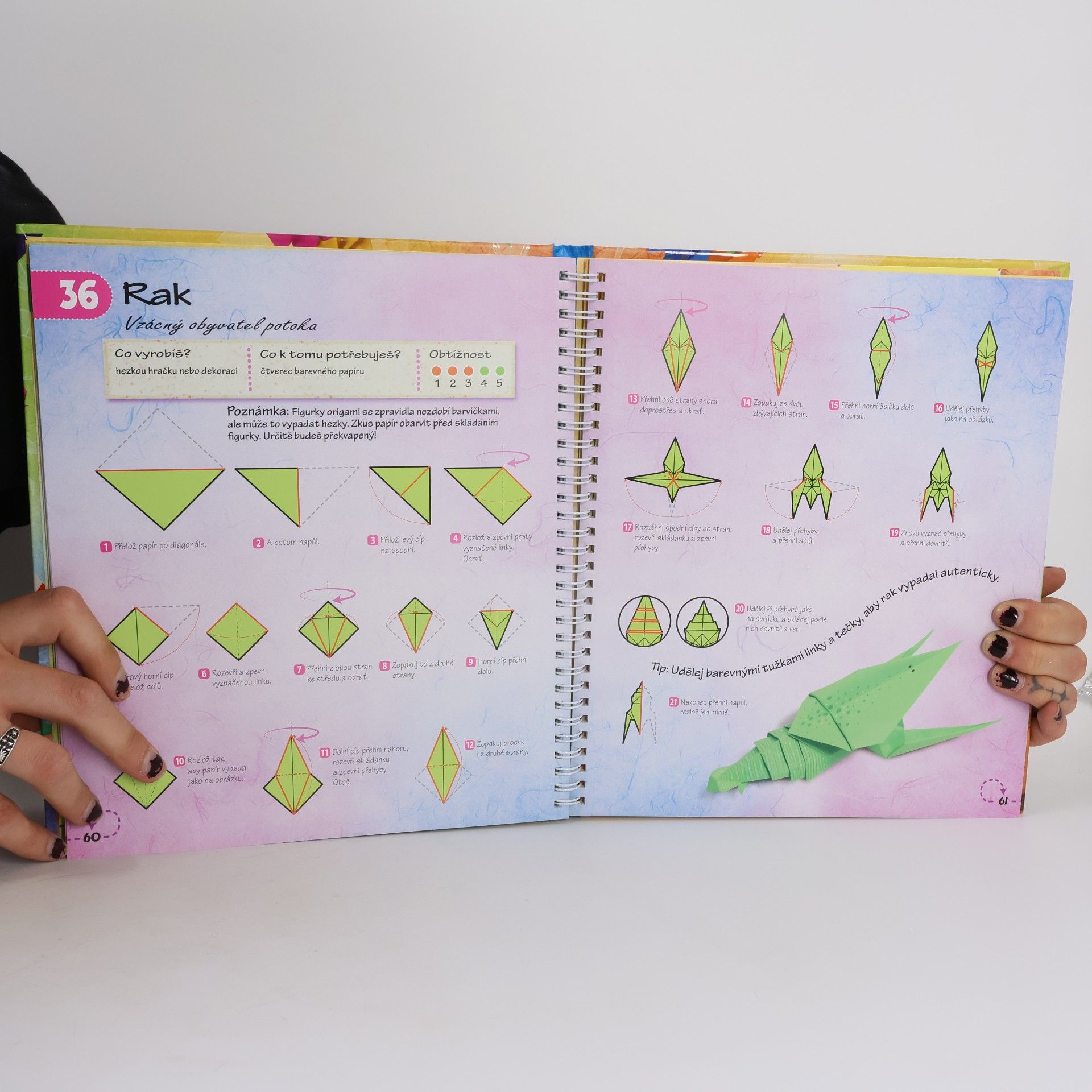 Autorenkollektiv Origami : Skládačky z papíru