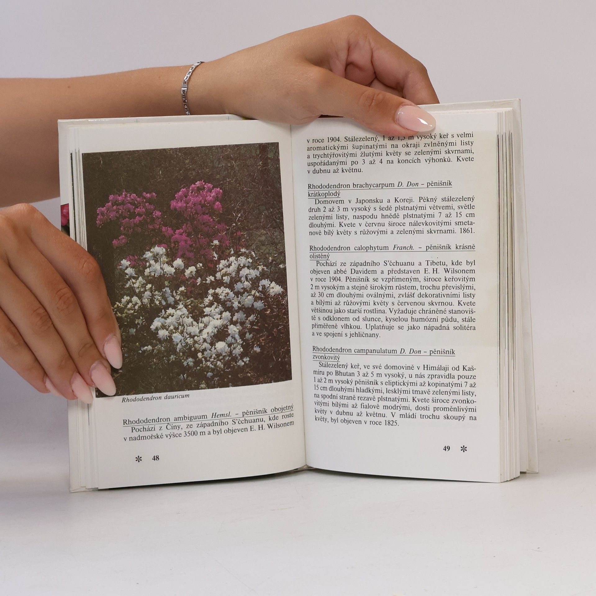 Čestmír Böhm Rododendrony a další vřesovcovité rostliny