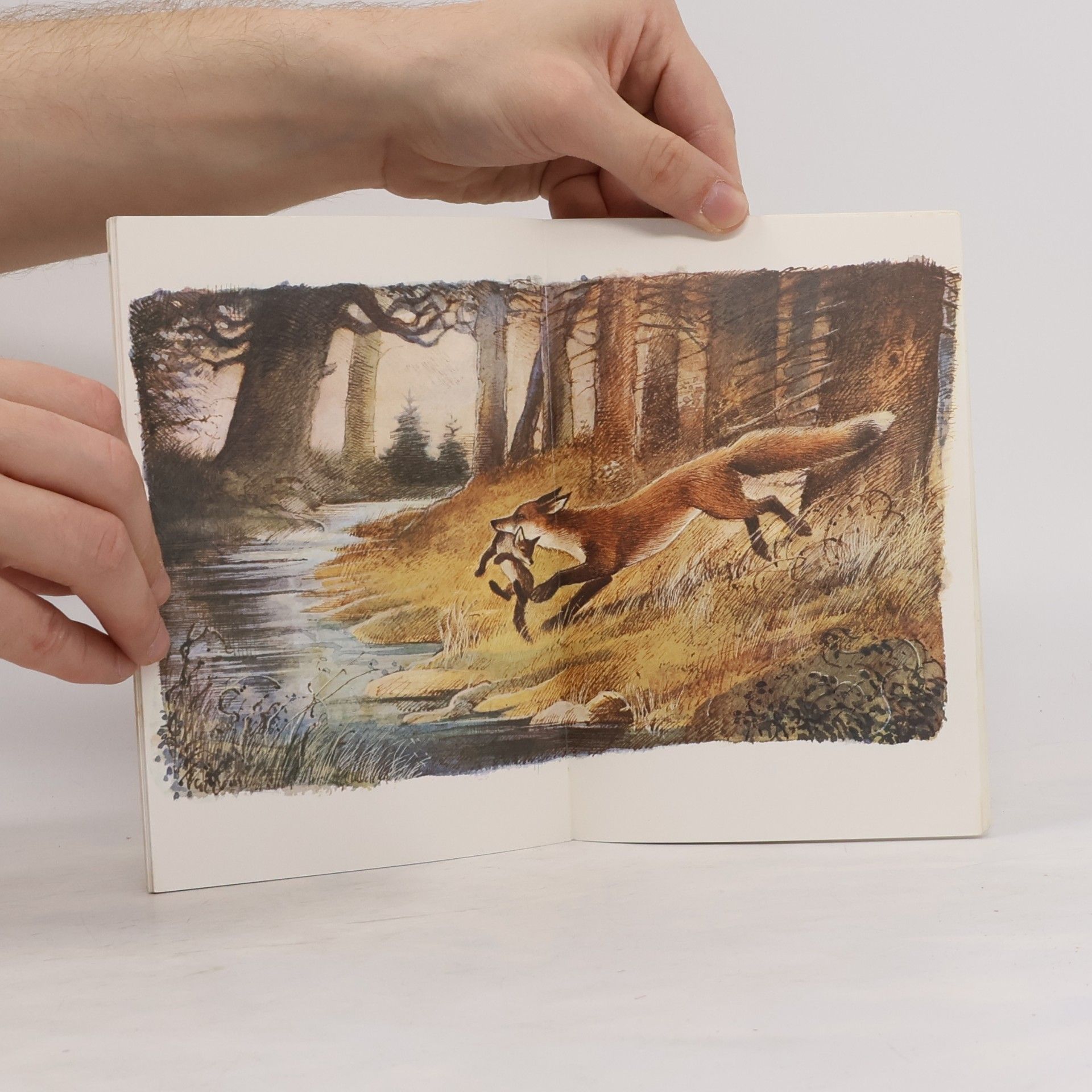 Der Findefuchs