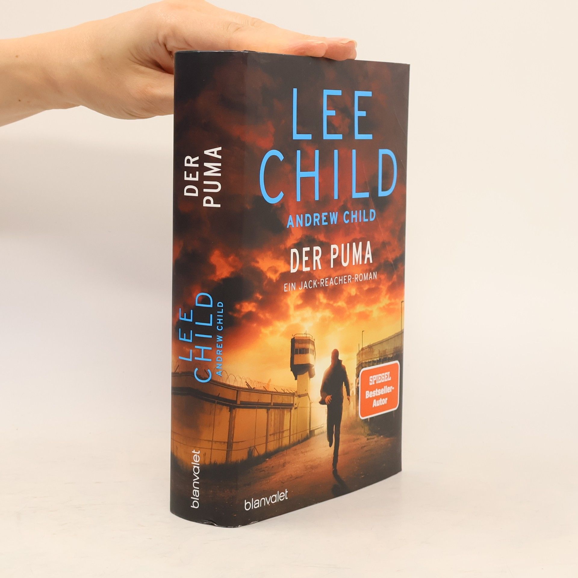 Jack Reacher: Der Puma
