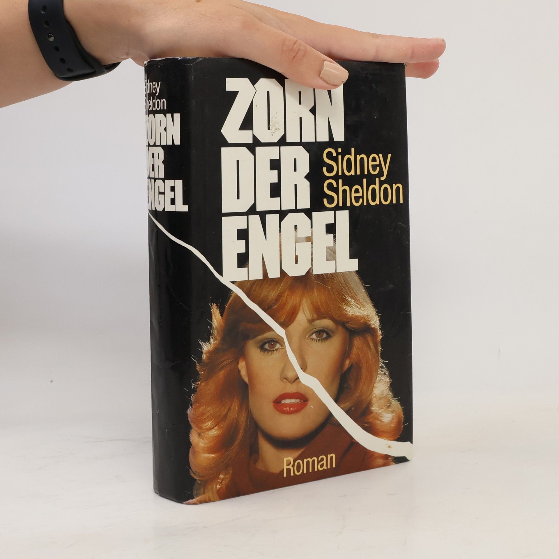 Sidney Sheldon Zorn der Engel