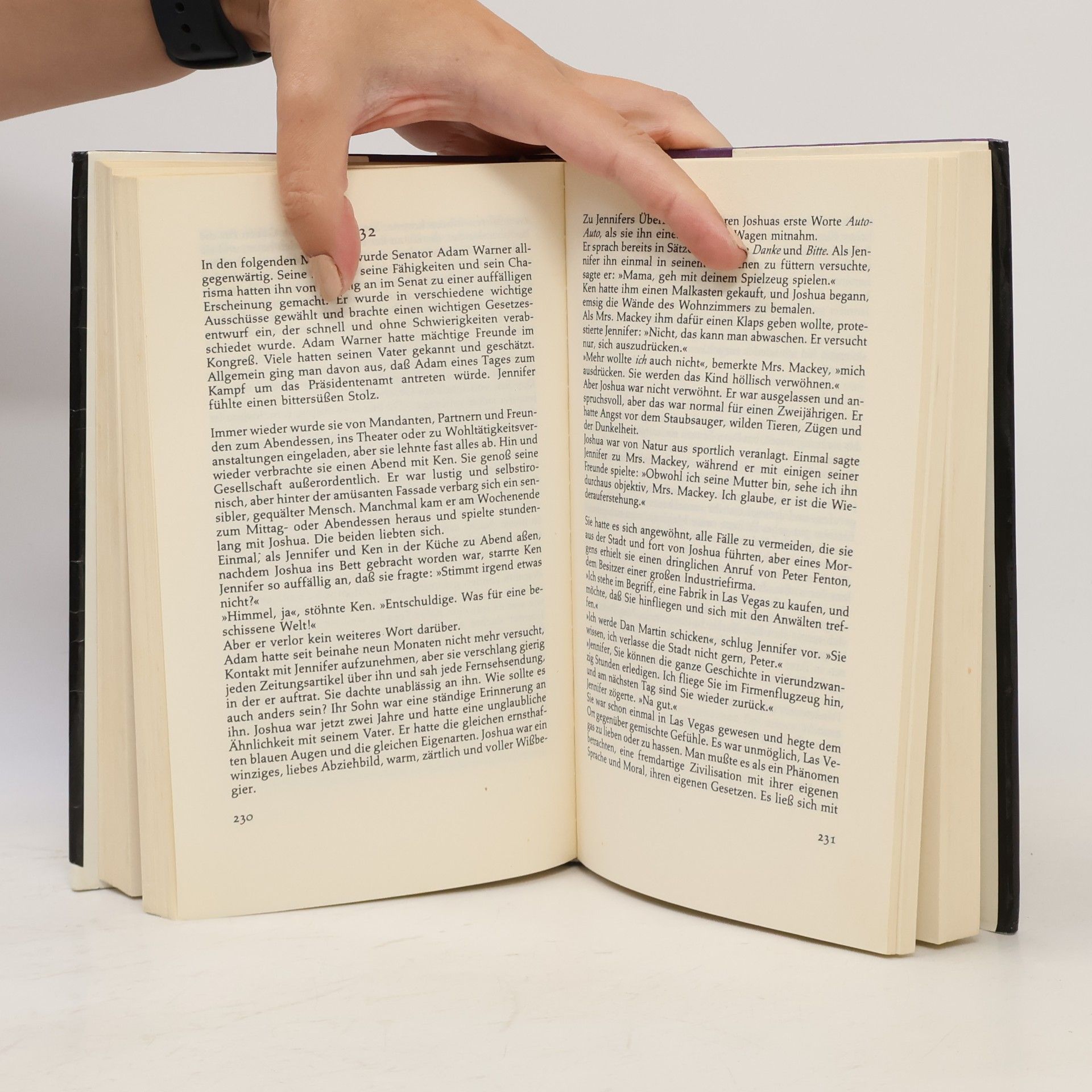 Sidney Sheldon Zorn der Engel