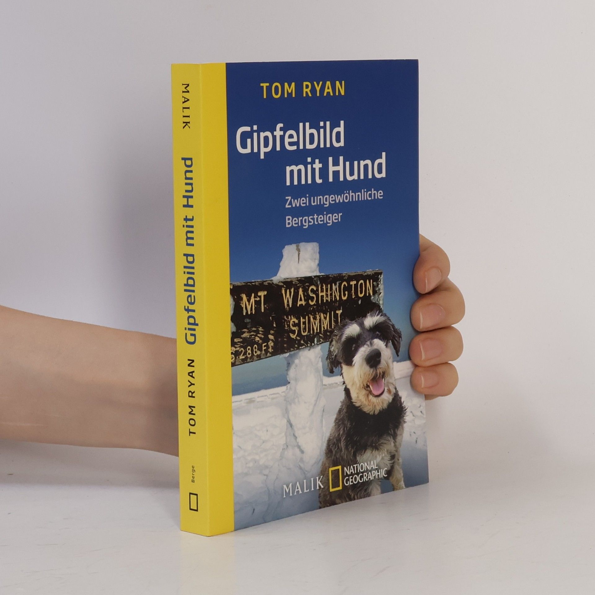 Gipfelbild mit Hund