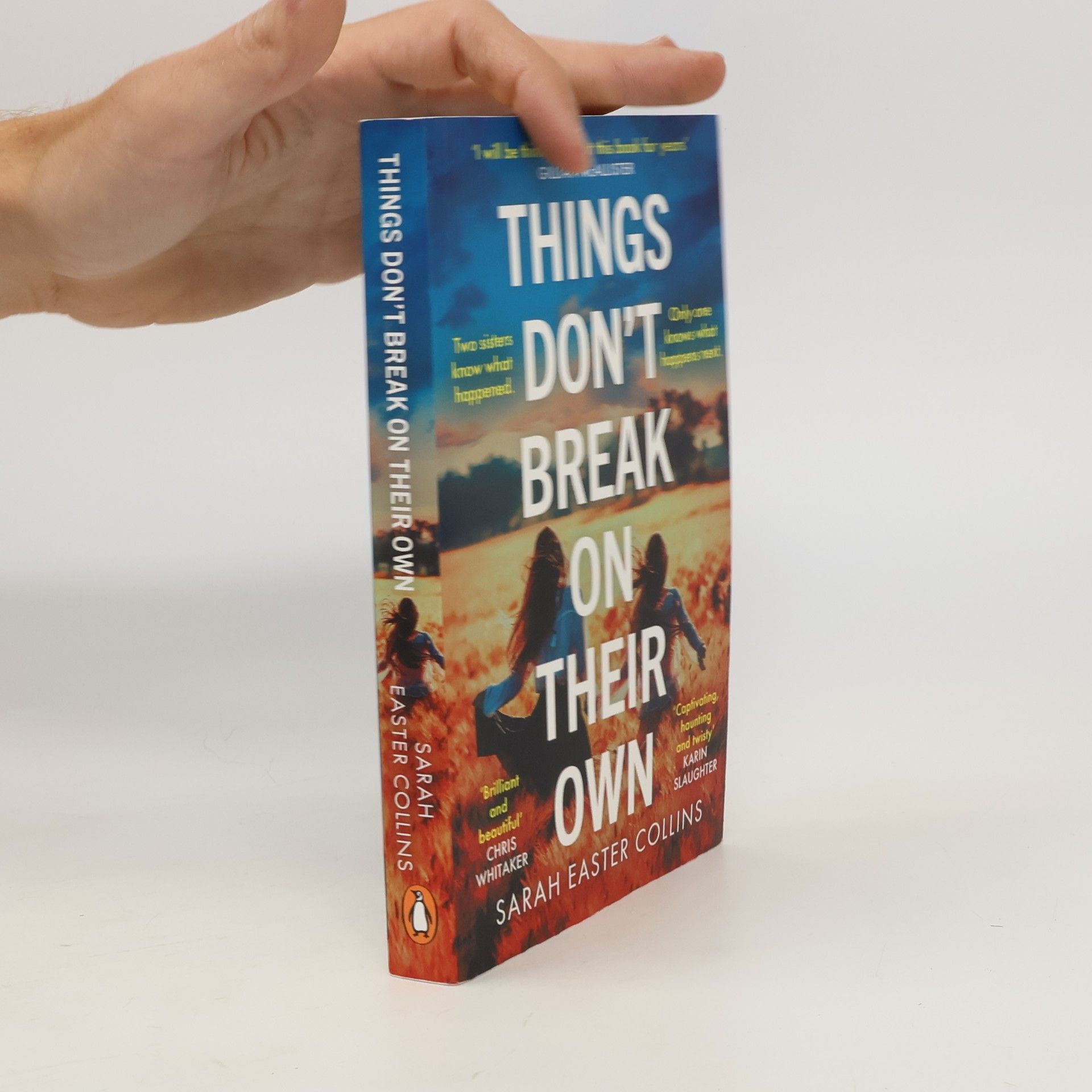 Sarah Easter Collins Things Don’t Break On Their Own