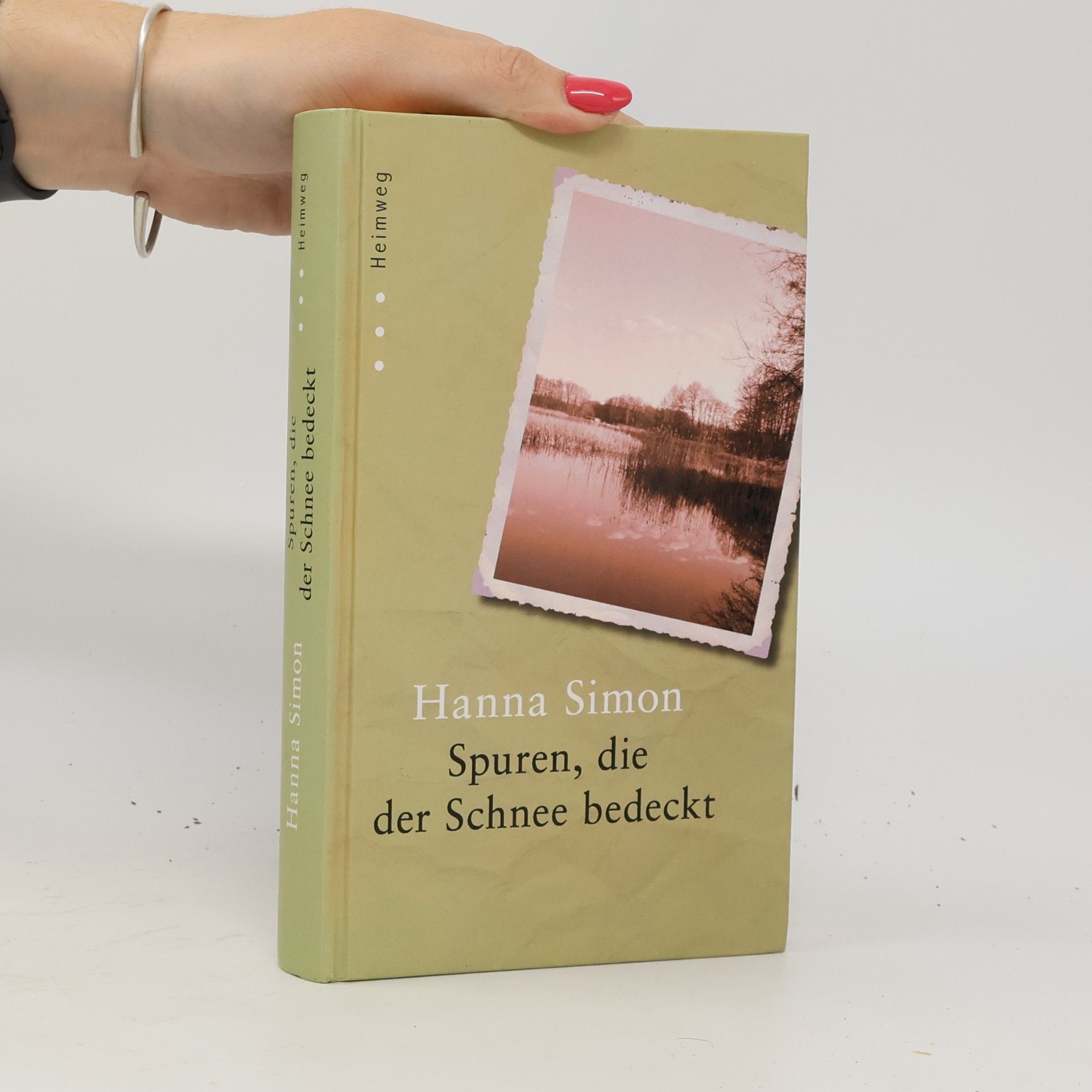 Hanna Simon Spuren, die der Schnee bedeckt