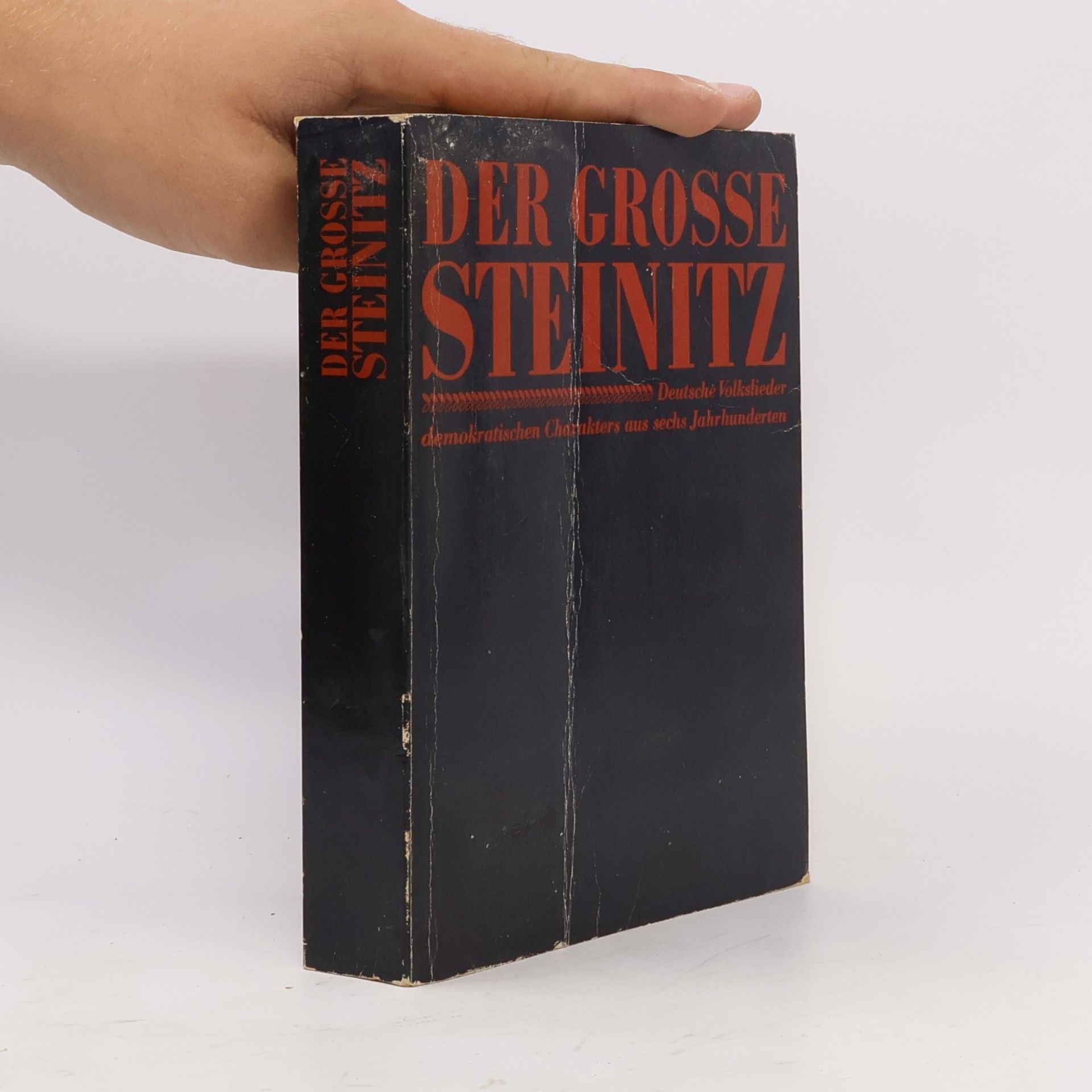 Auteurscollectief Der grosse Steinitz