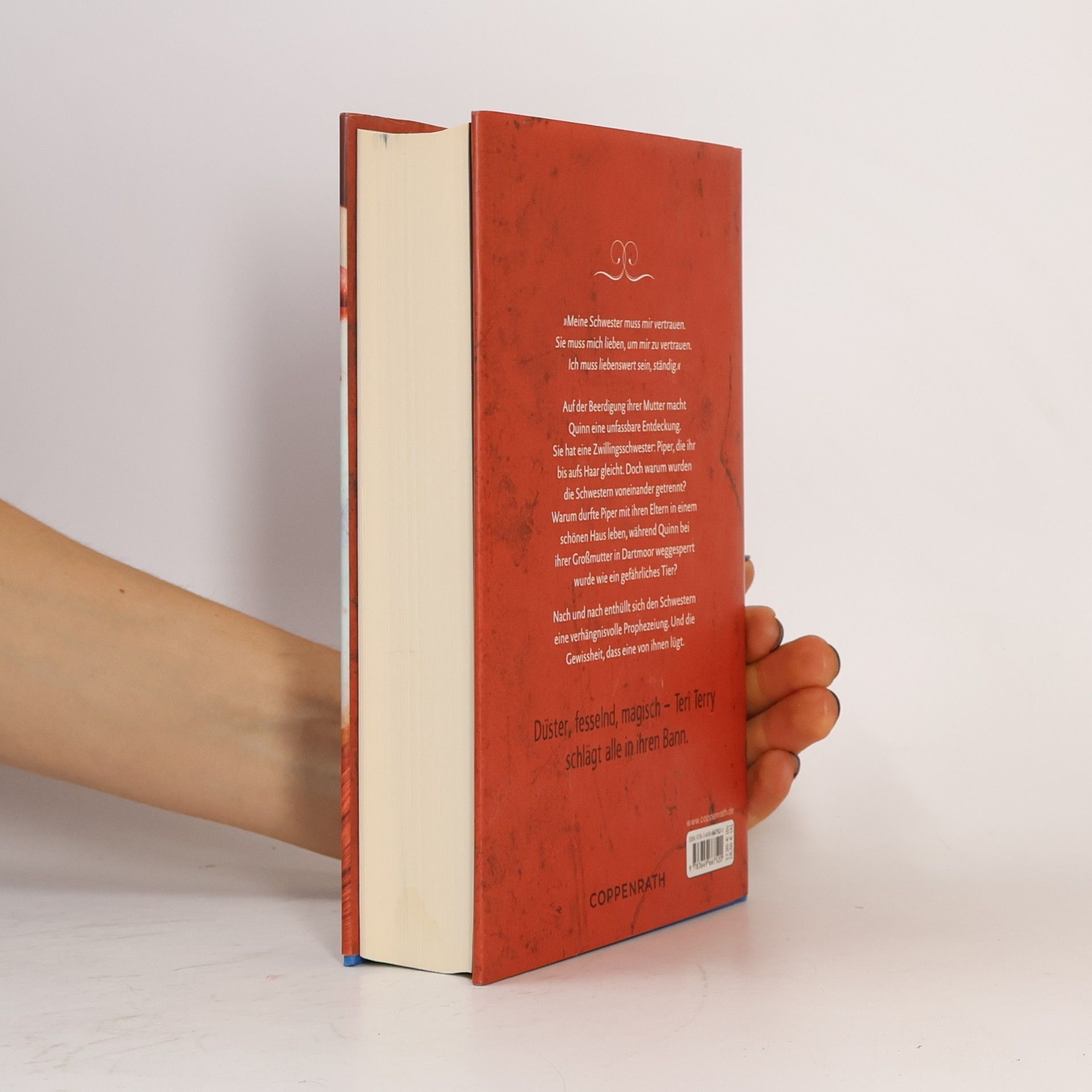 Teri Terry Book of Lies