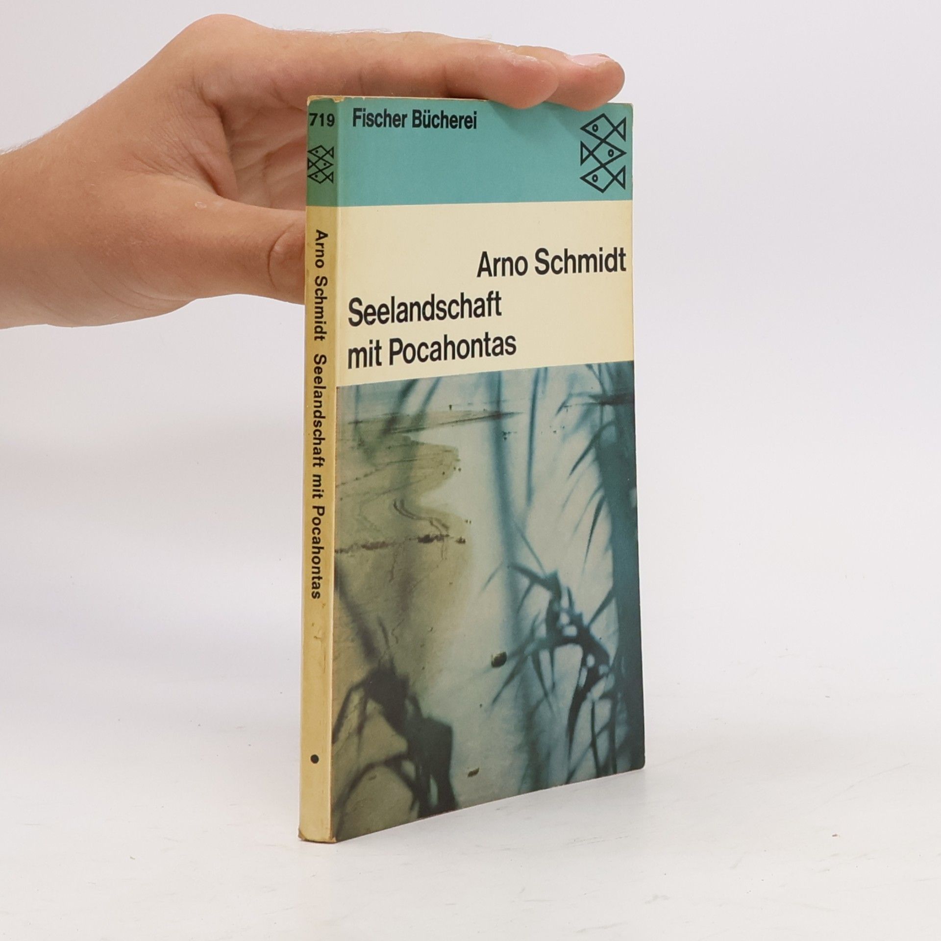 Arno Schmidt Seelandschaft mit Pocahontas