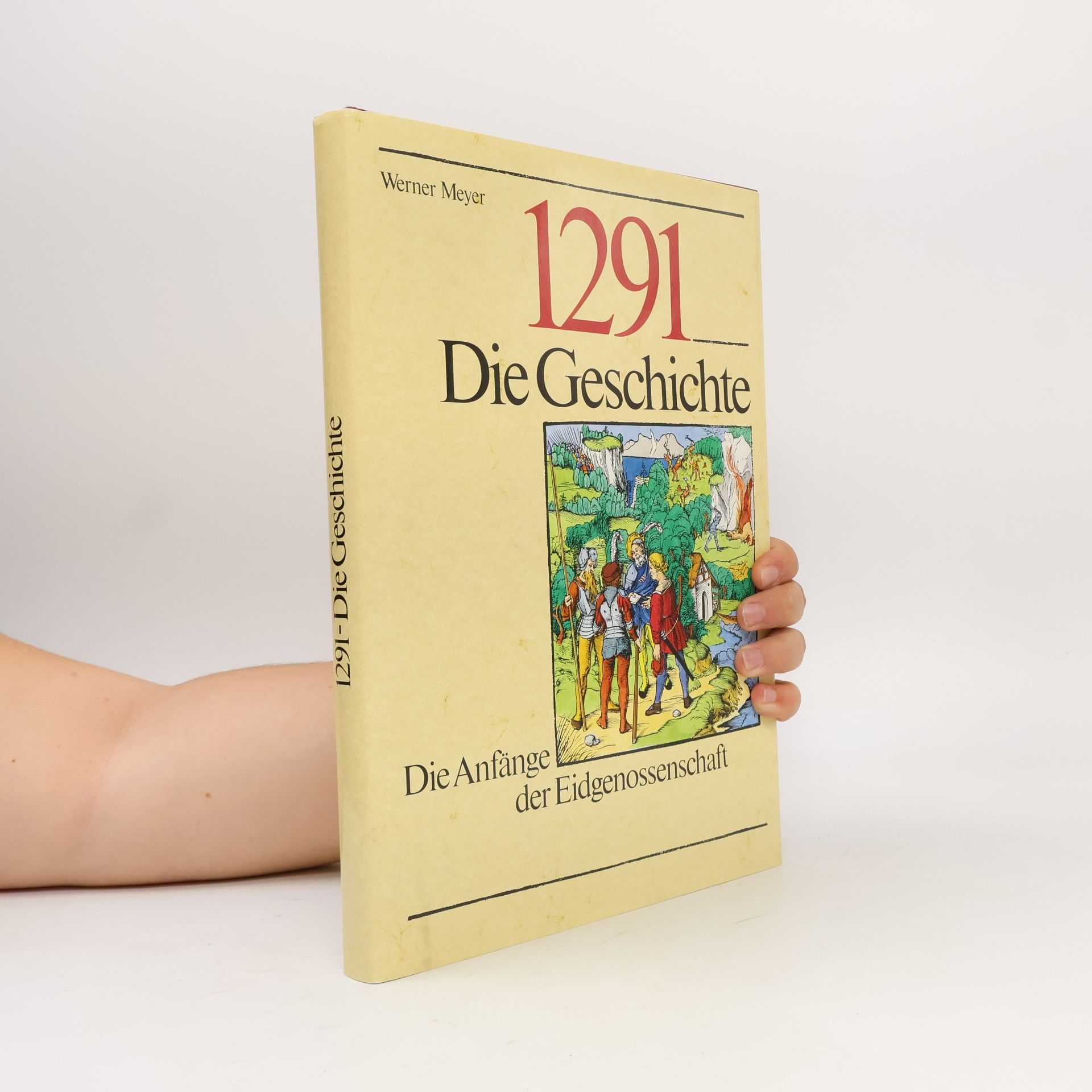 Werner Meyer 1291 - Die Geschichte