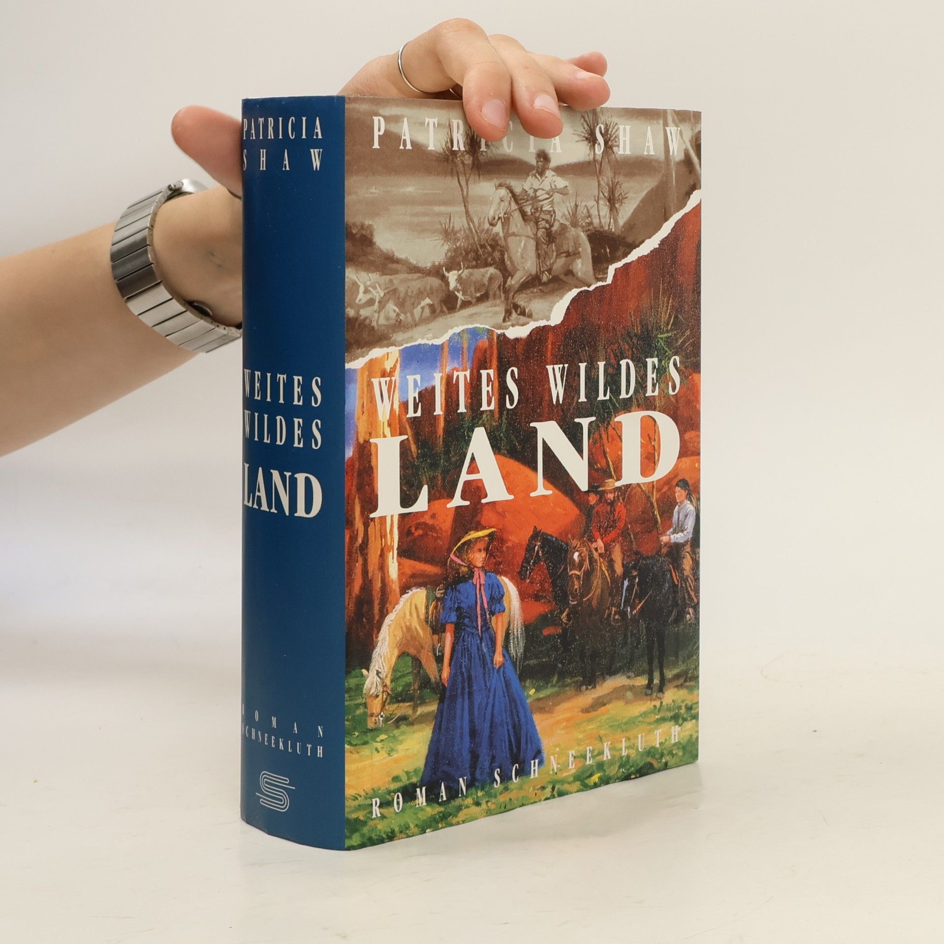 Patricia Shaw Weites wildes Land