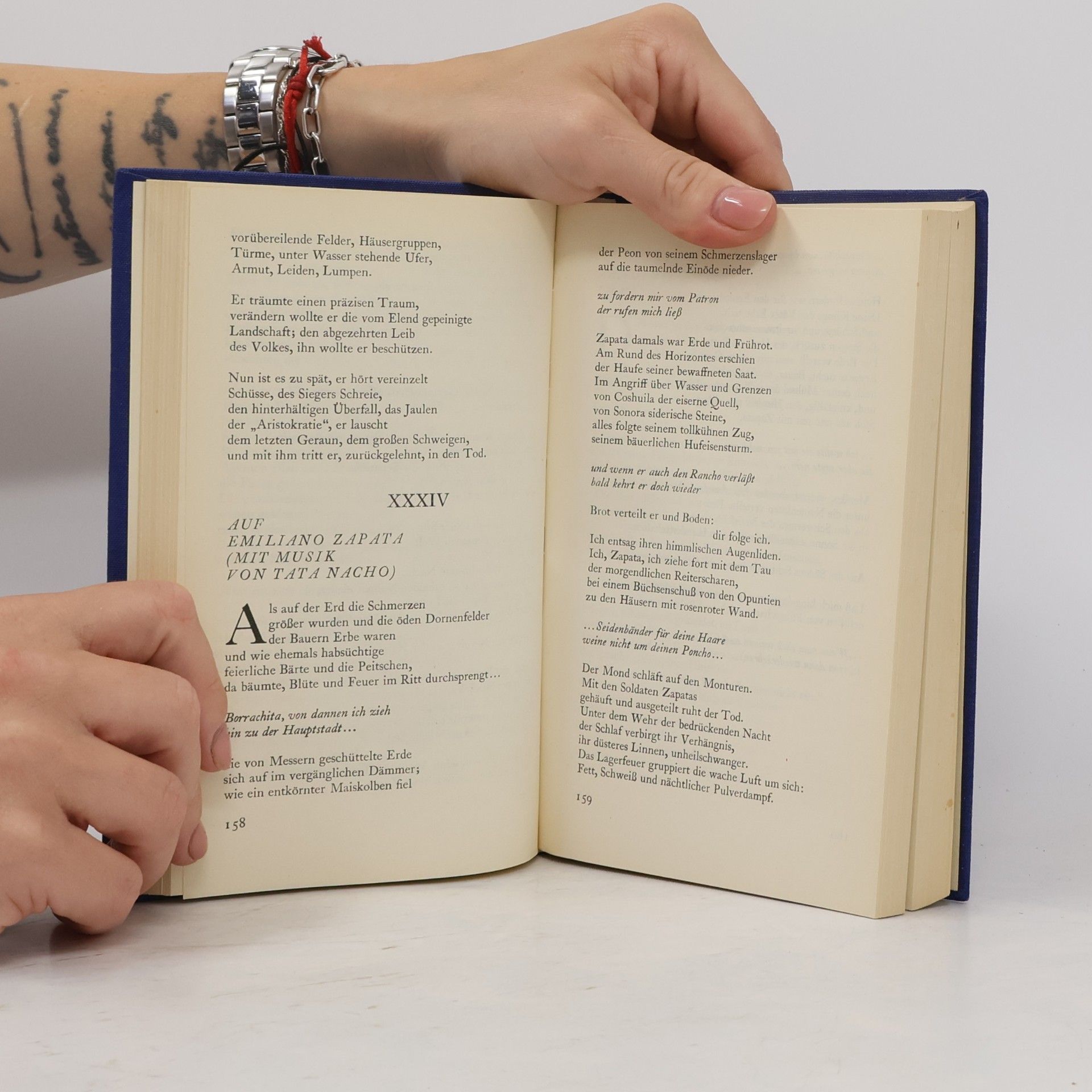 Pablo Neruda Der grosse Gesang