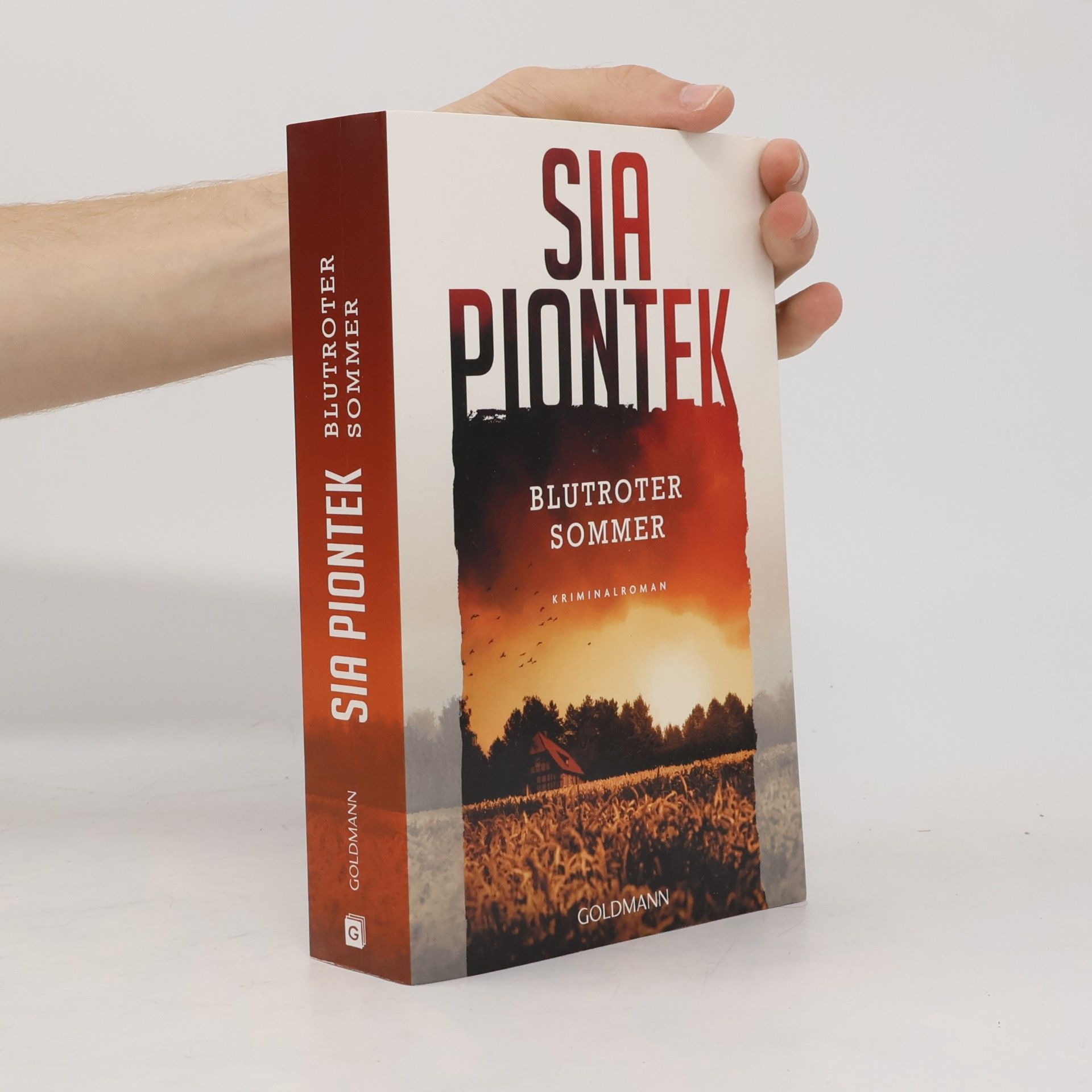 Sia Piontek Ein Carla-Seidel-Krimi - 3: Blutroter Sommer