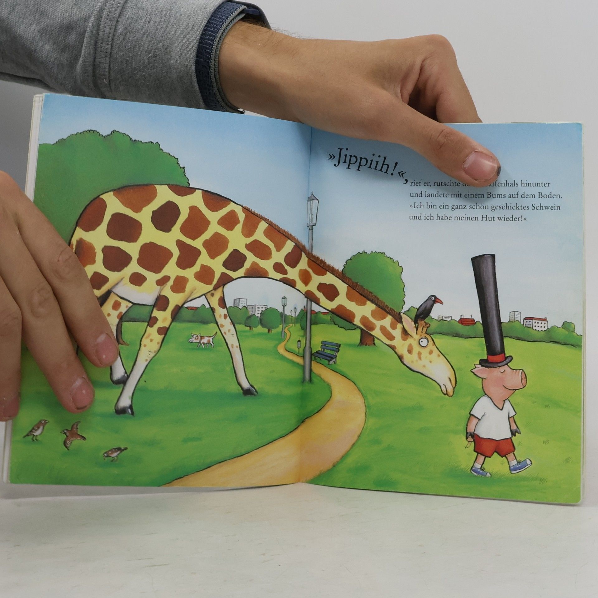 Axel Scheffler Fritz Ferkel