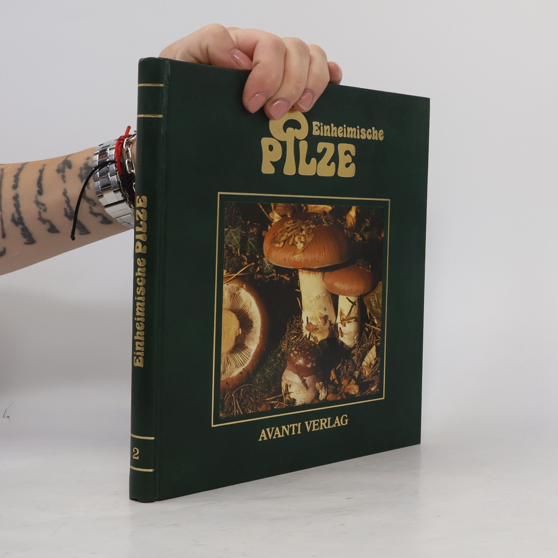 Kolektiv autorů Einheimische Pilze 2