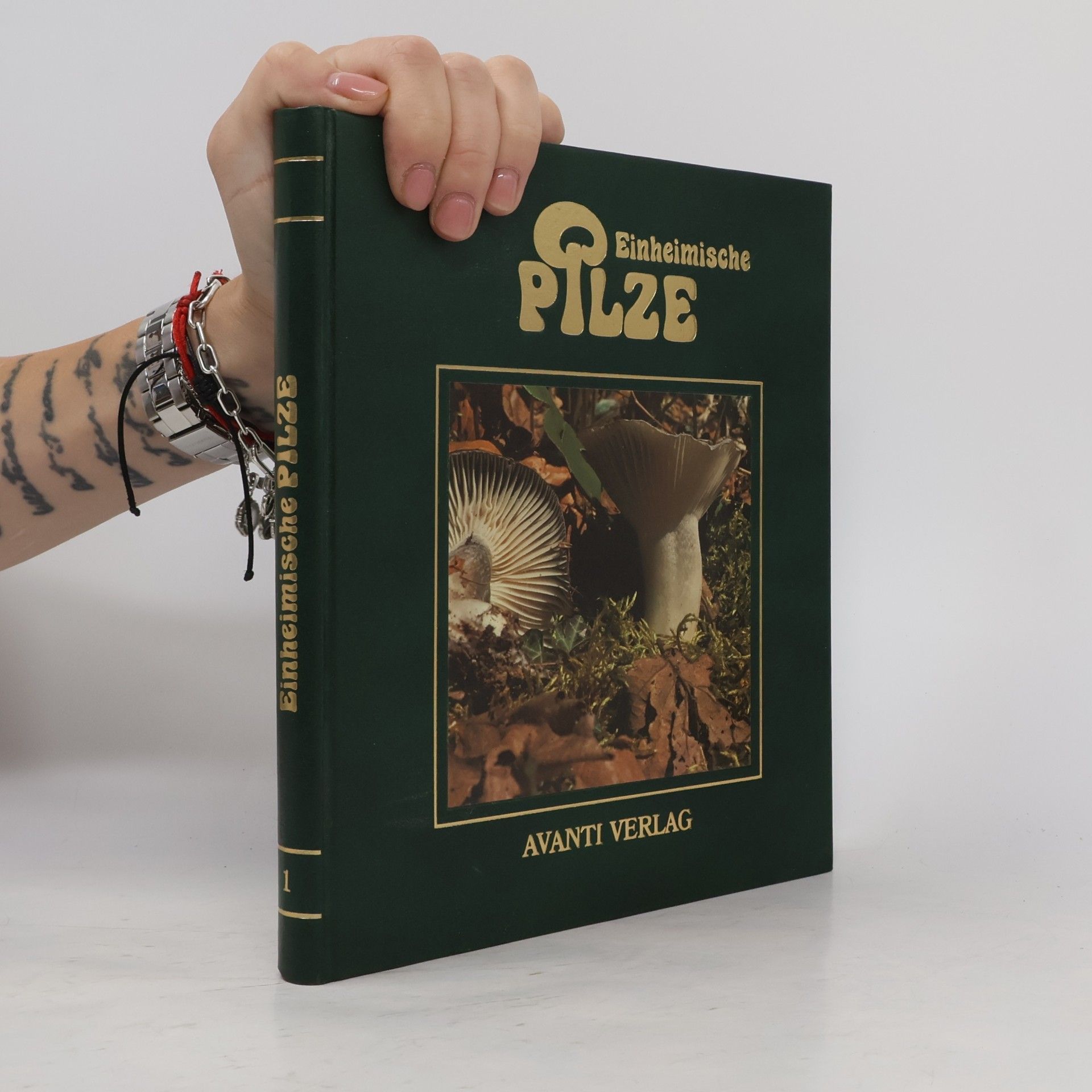 Kolektiv autorů Einheimische Pilze 1