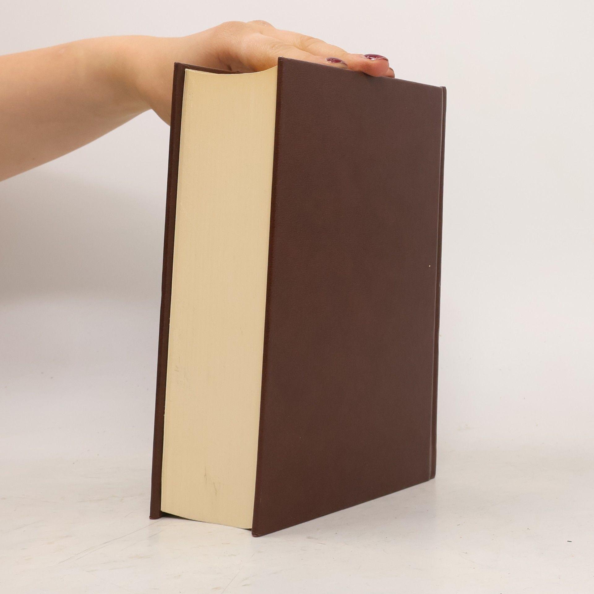 Collectif d'auteurs Die Bibel
