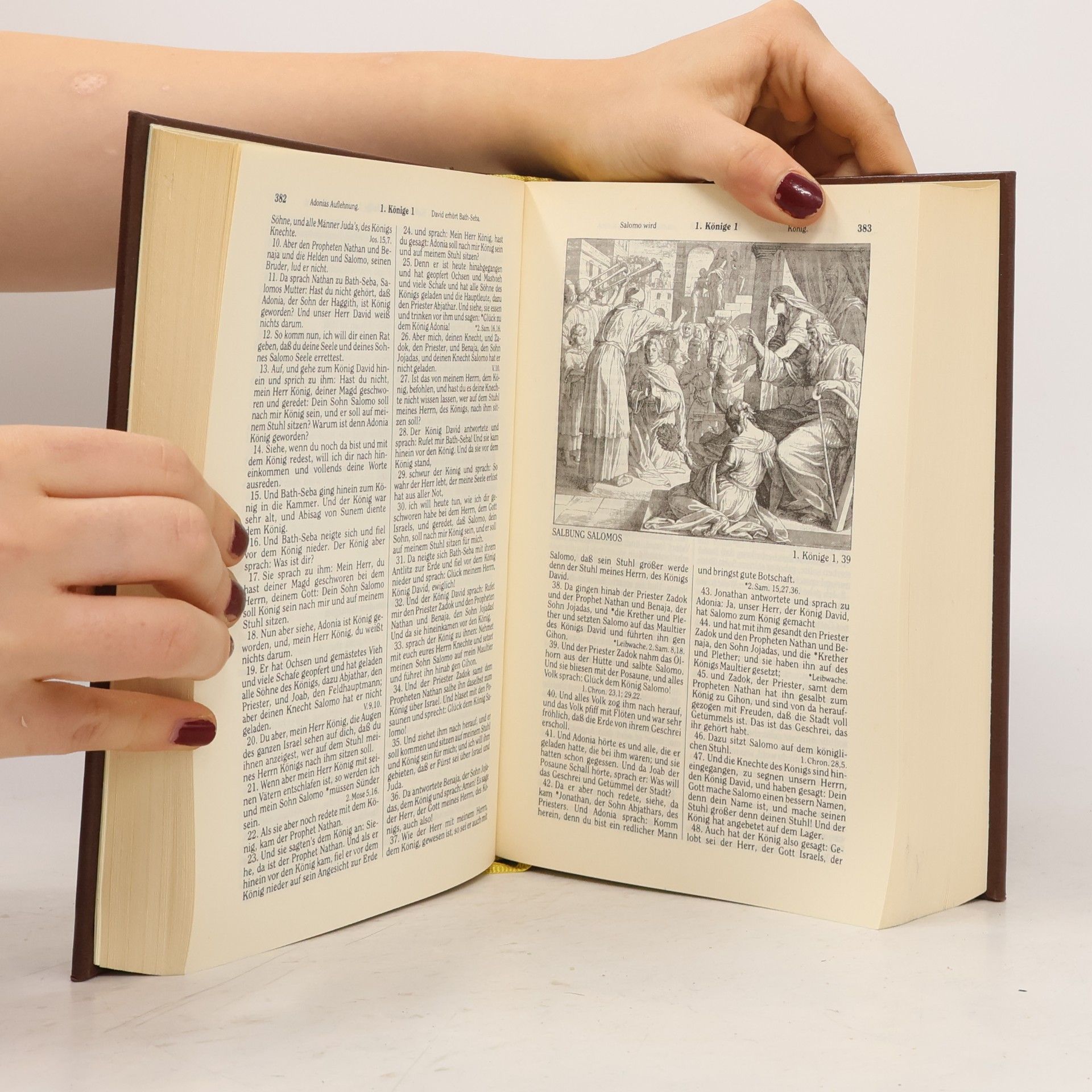 Collectif d'auteurs Die Bibel