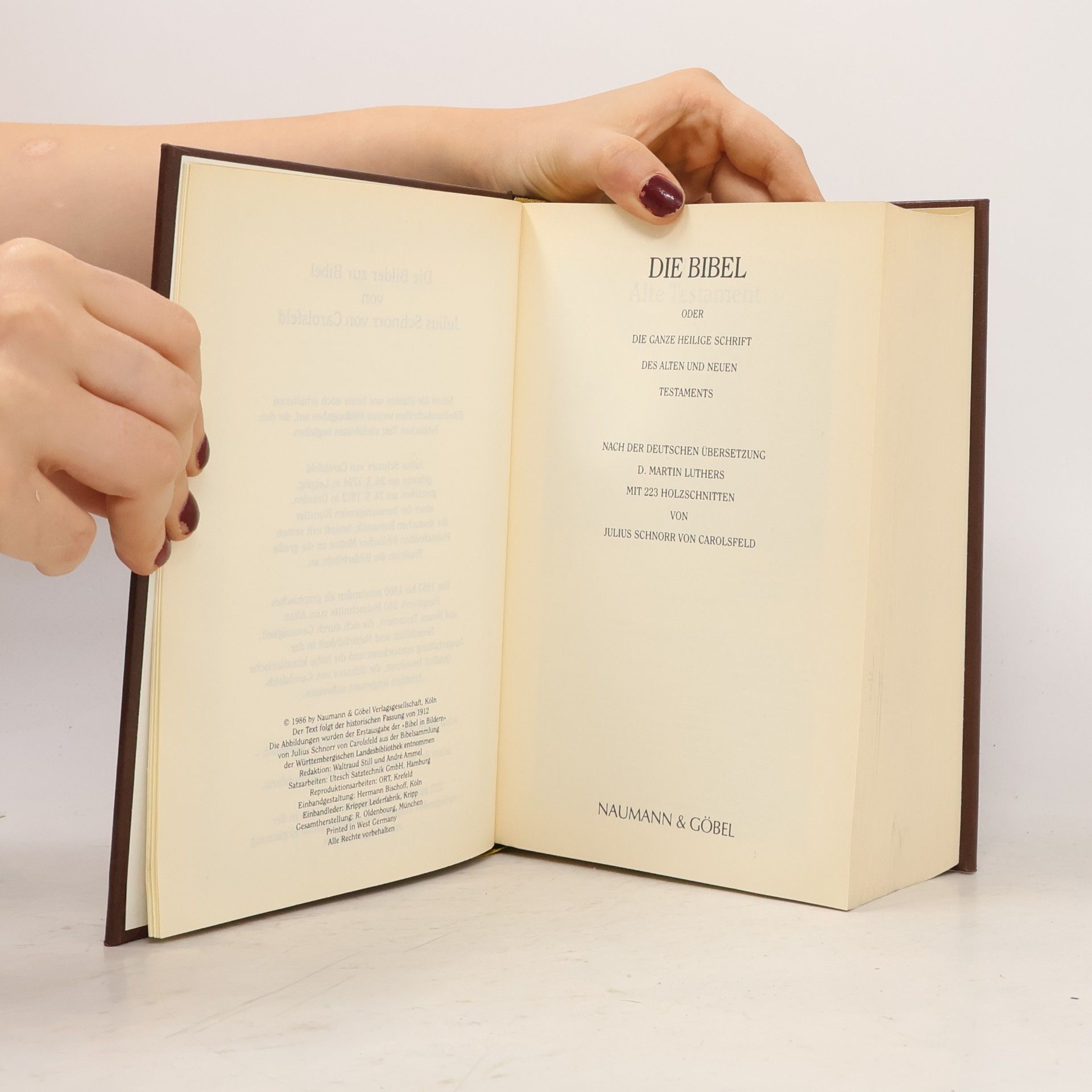 Collectif d'auteurs Die Bibel