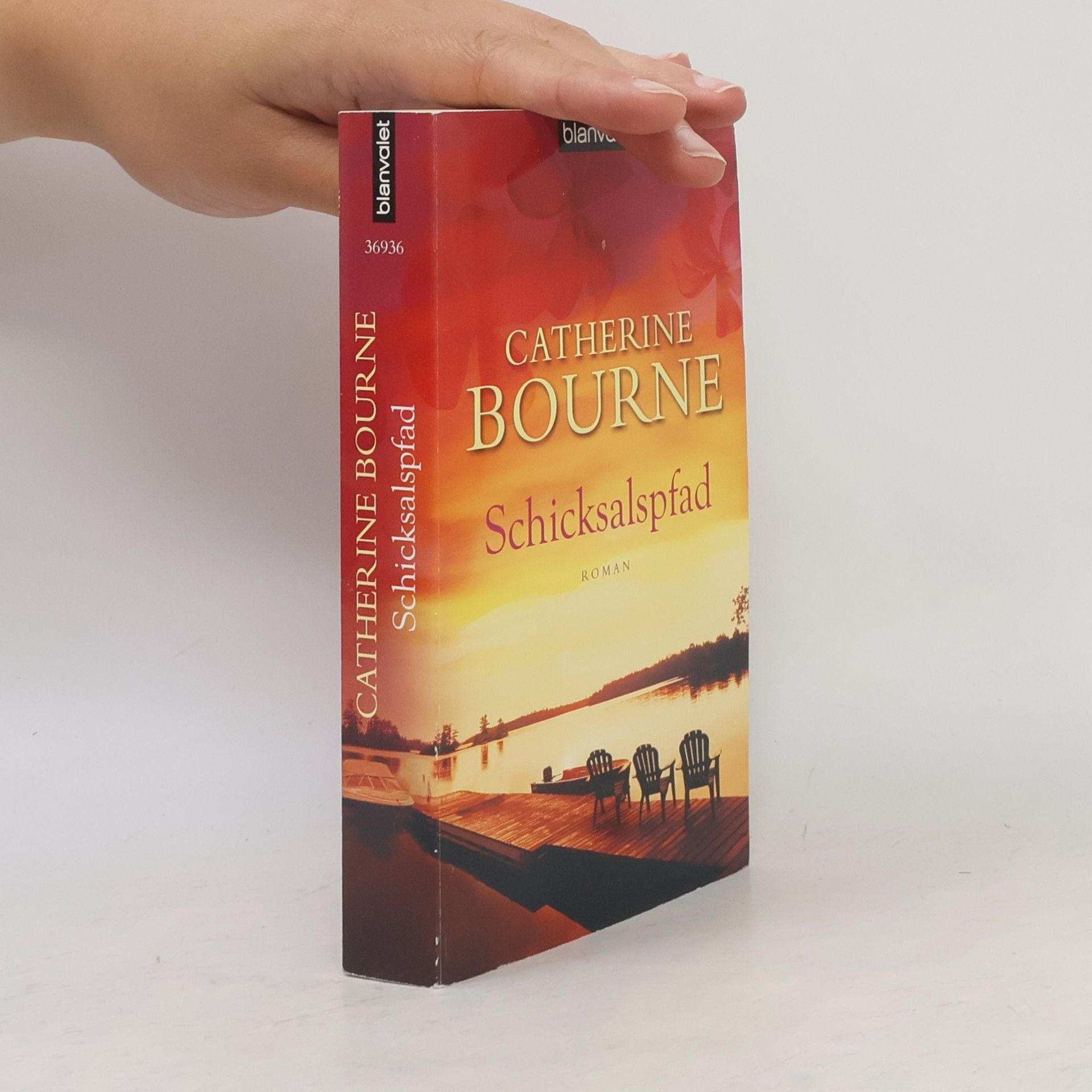 Catherine Bourne Schicksalspfad. Roman