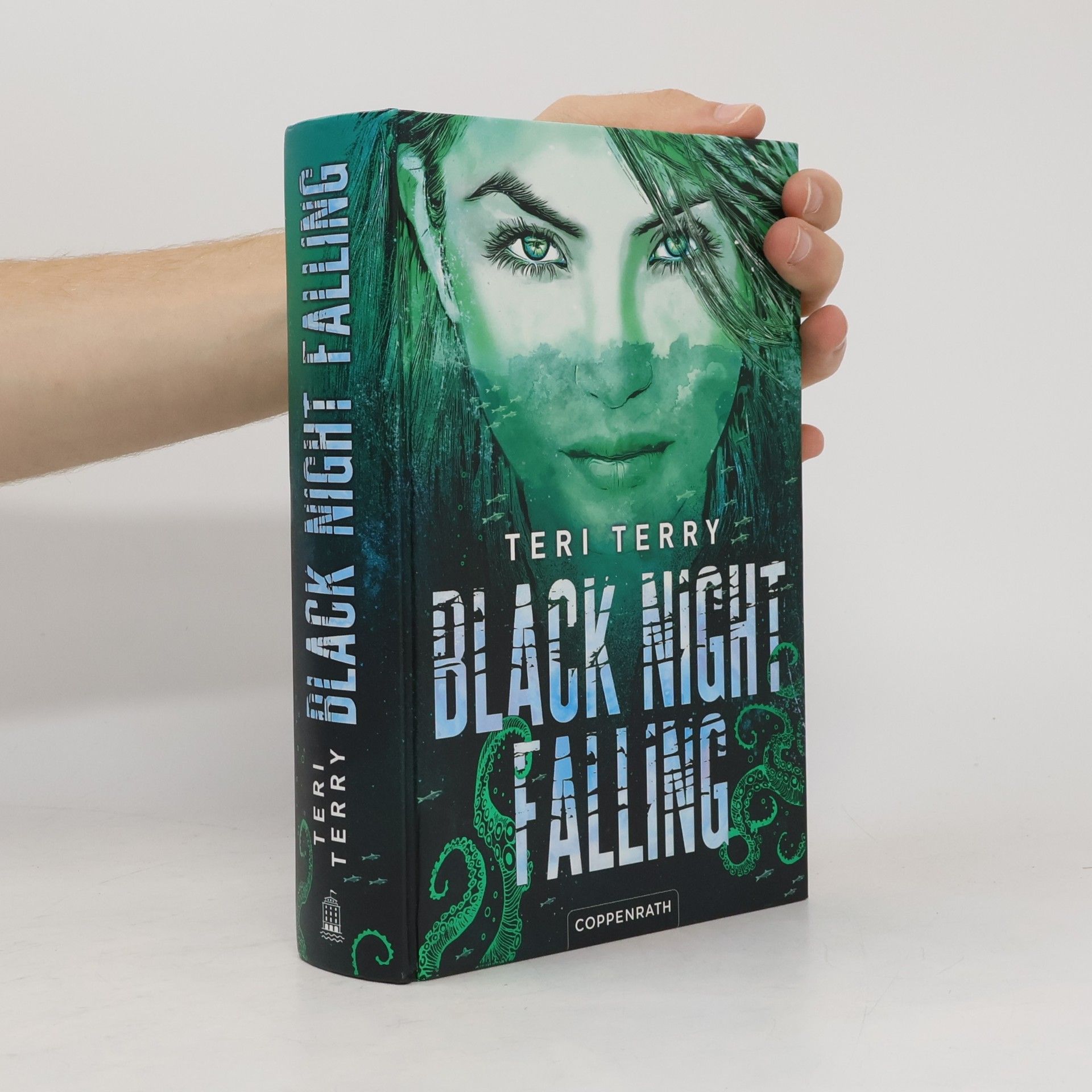 Teri Terry Black Night Falling (Bd. 3)