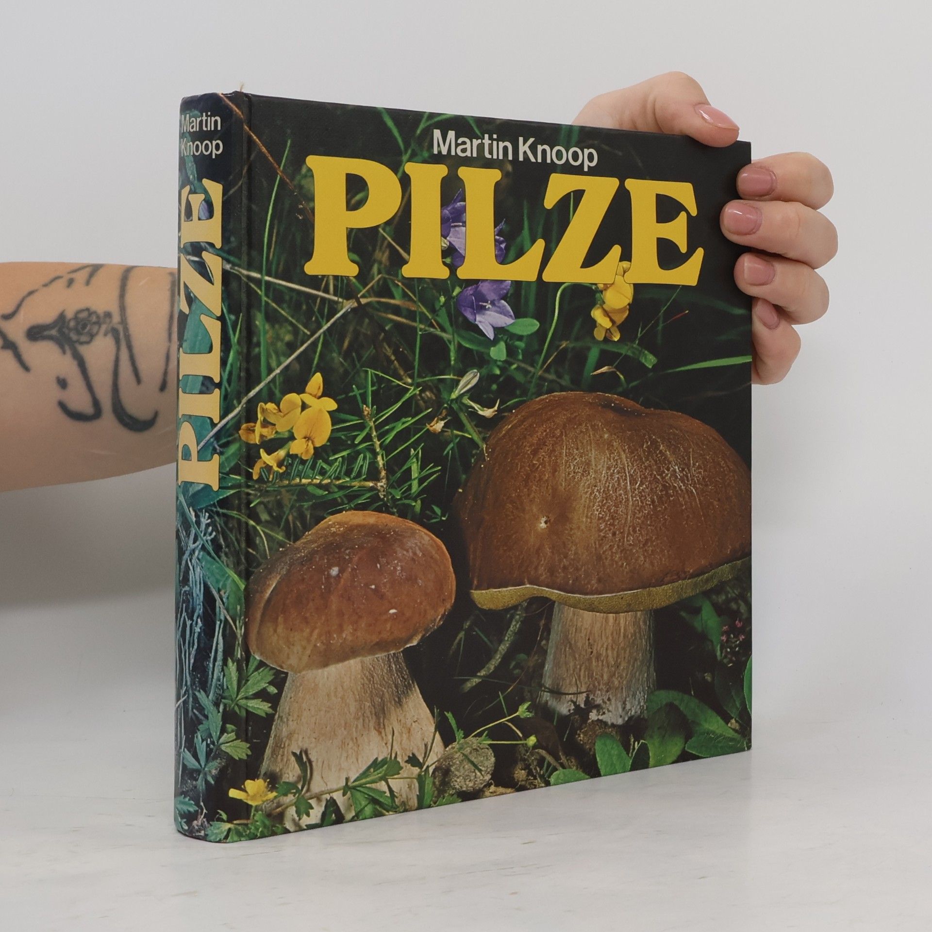Pilze