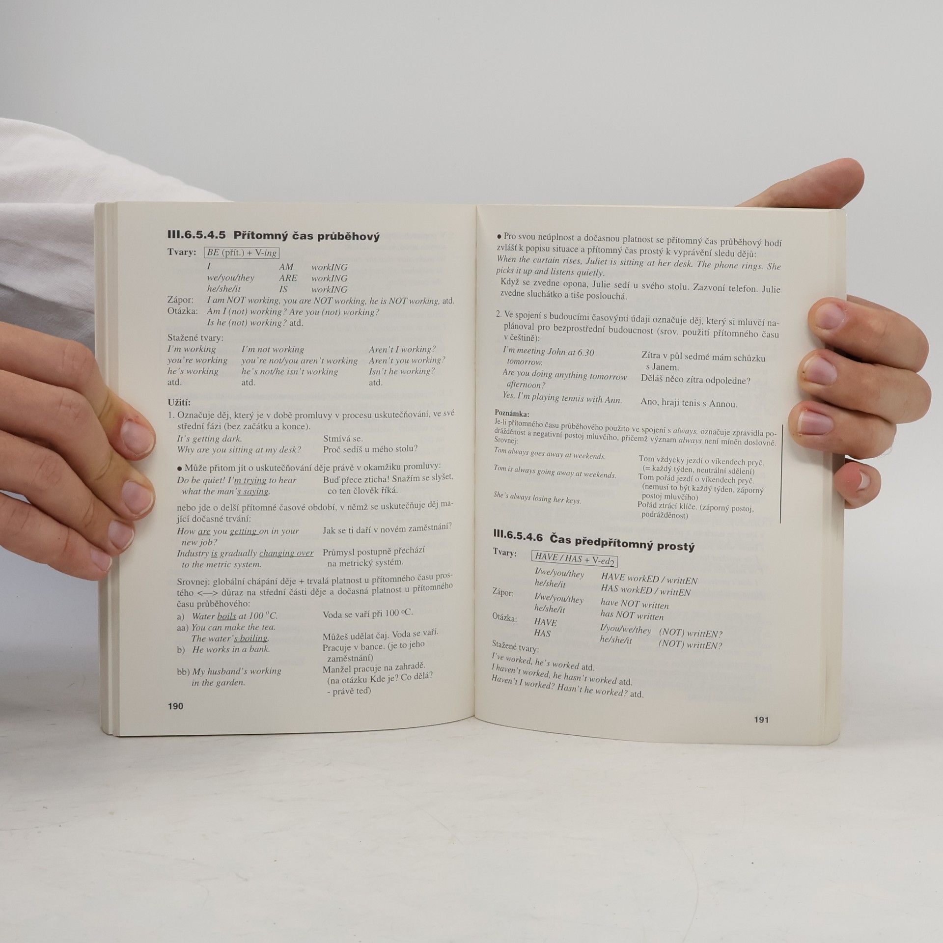 Strnadová Zdenka Mluvnice angličtiny. Professional English Grammar Book