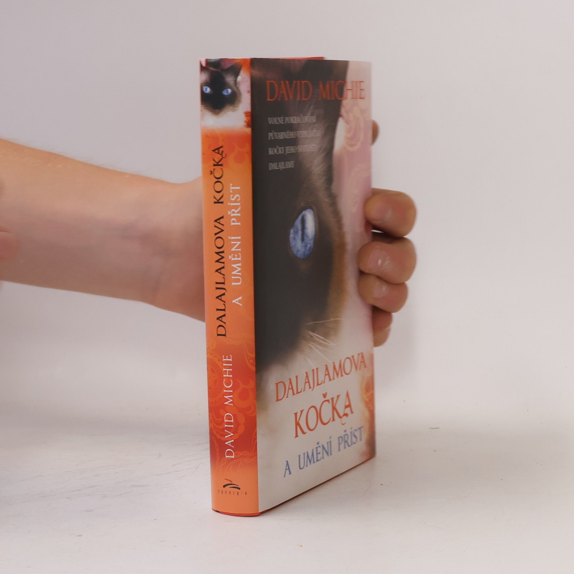 David Michie Dalajlamova kočka a umění příst