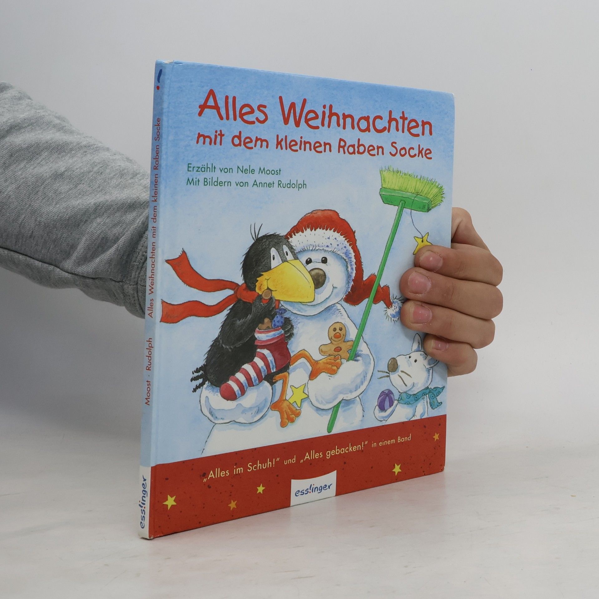 Nele Moost Alles Weihnachten mit dem kleinen Raben Socke