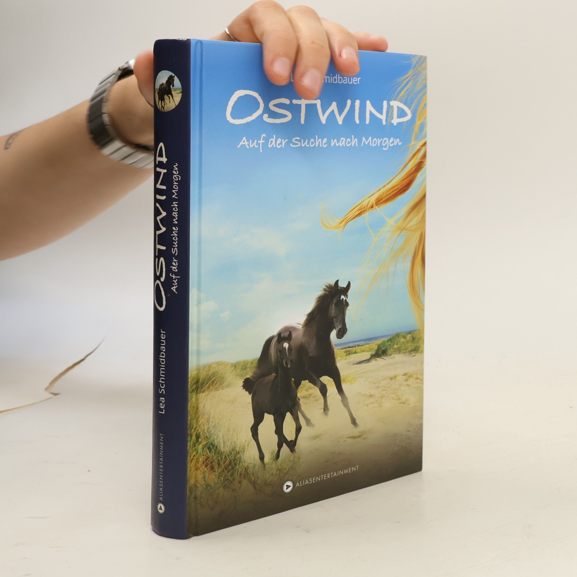 Ostwind - auf der Suche nach Morgen