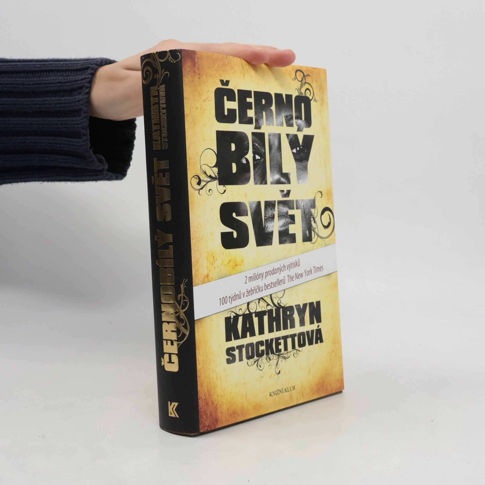 Kathryn Stockett Černobílý svět