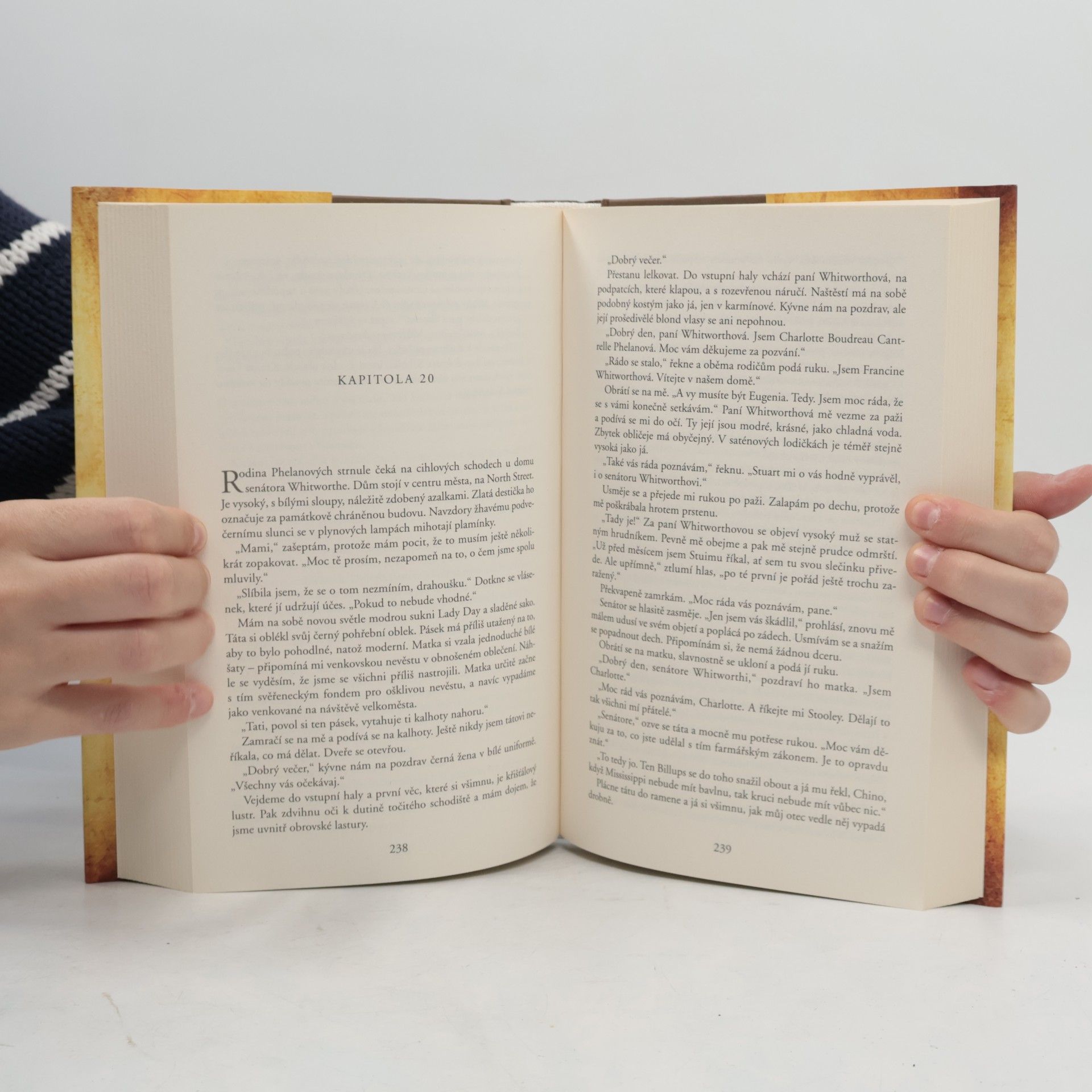 Kathryn Stockett Černobílý svět