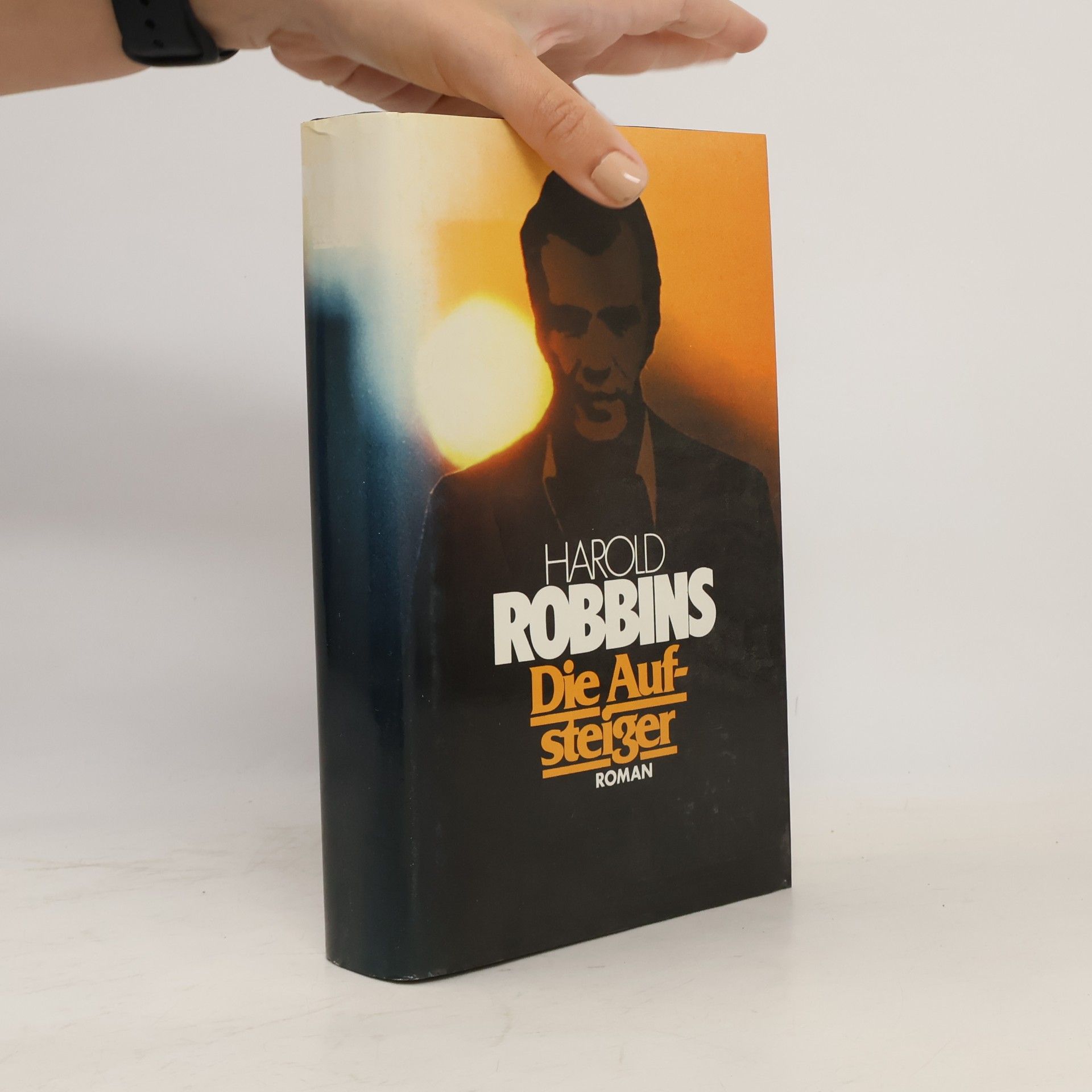 Harold Robbins Die Aufsteiger