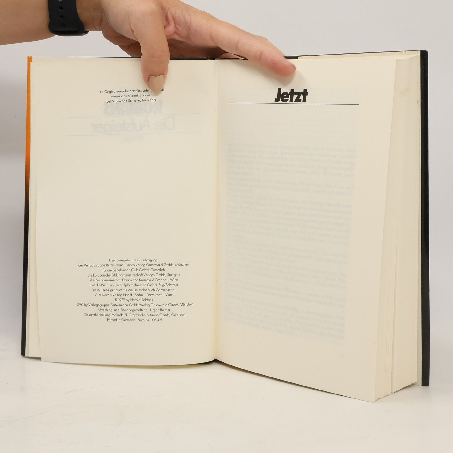 Harold Robbins Die Aufsteiger