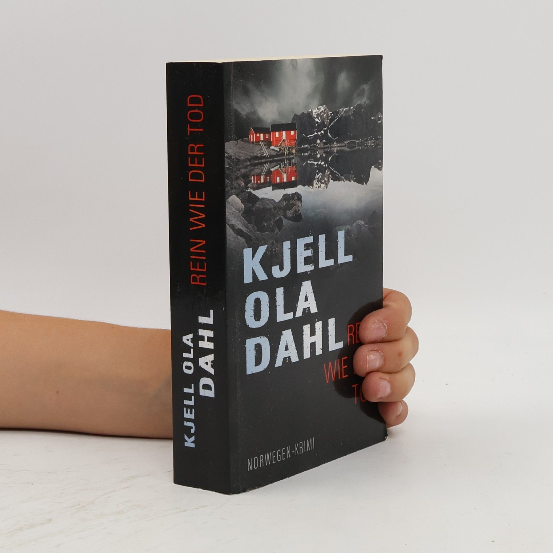 Kjell Ola Dahl Rein wie der Tod