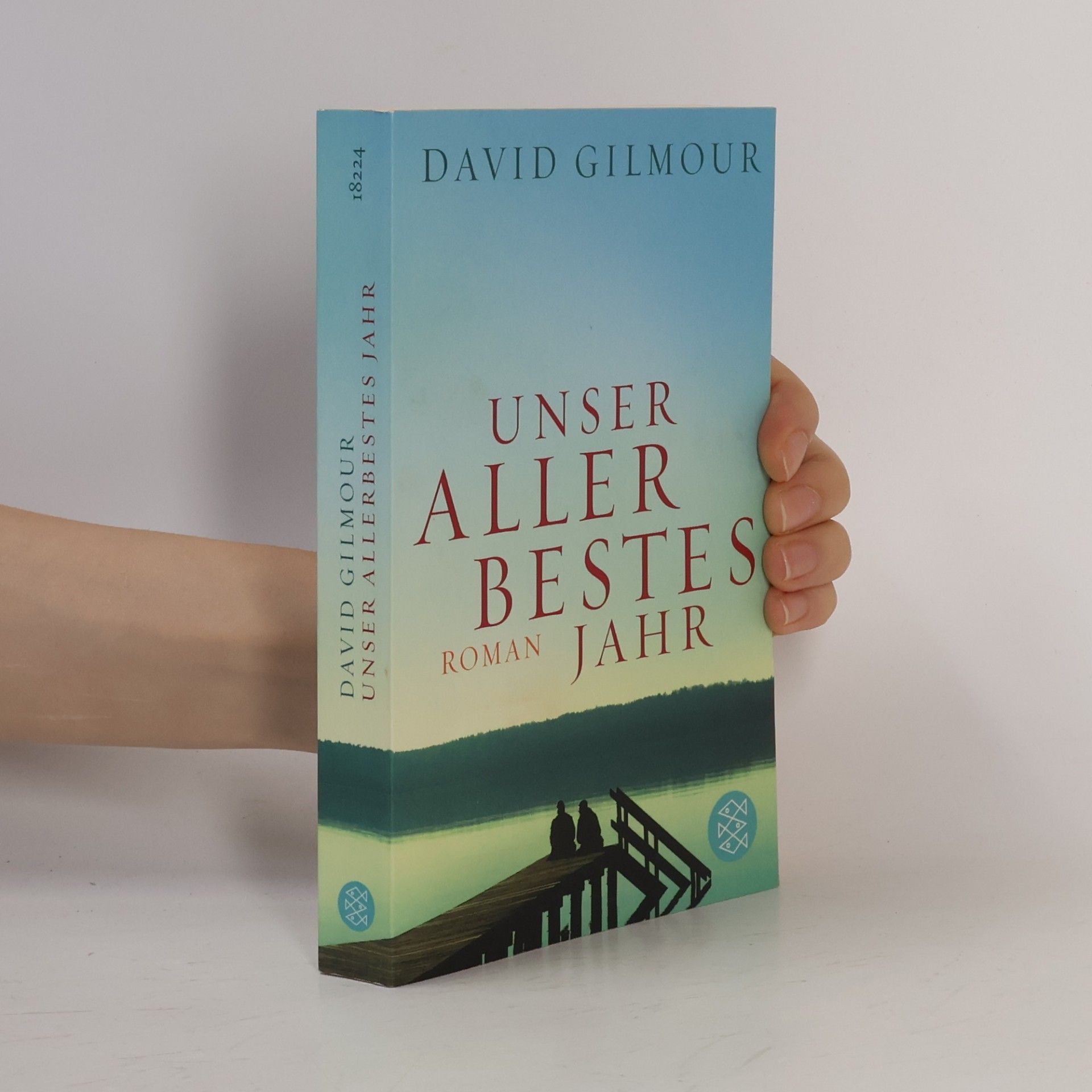 David Gilmour Unser allerbestes Jahr