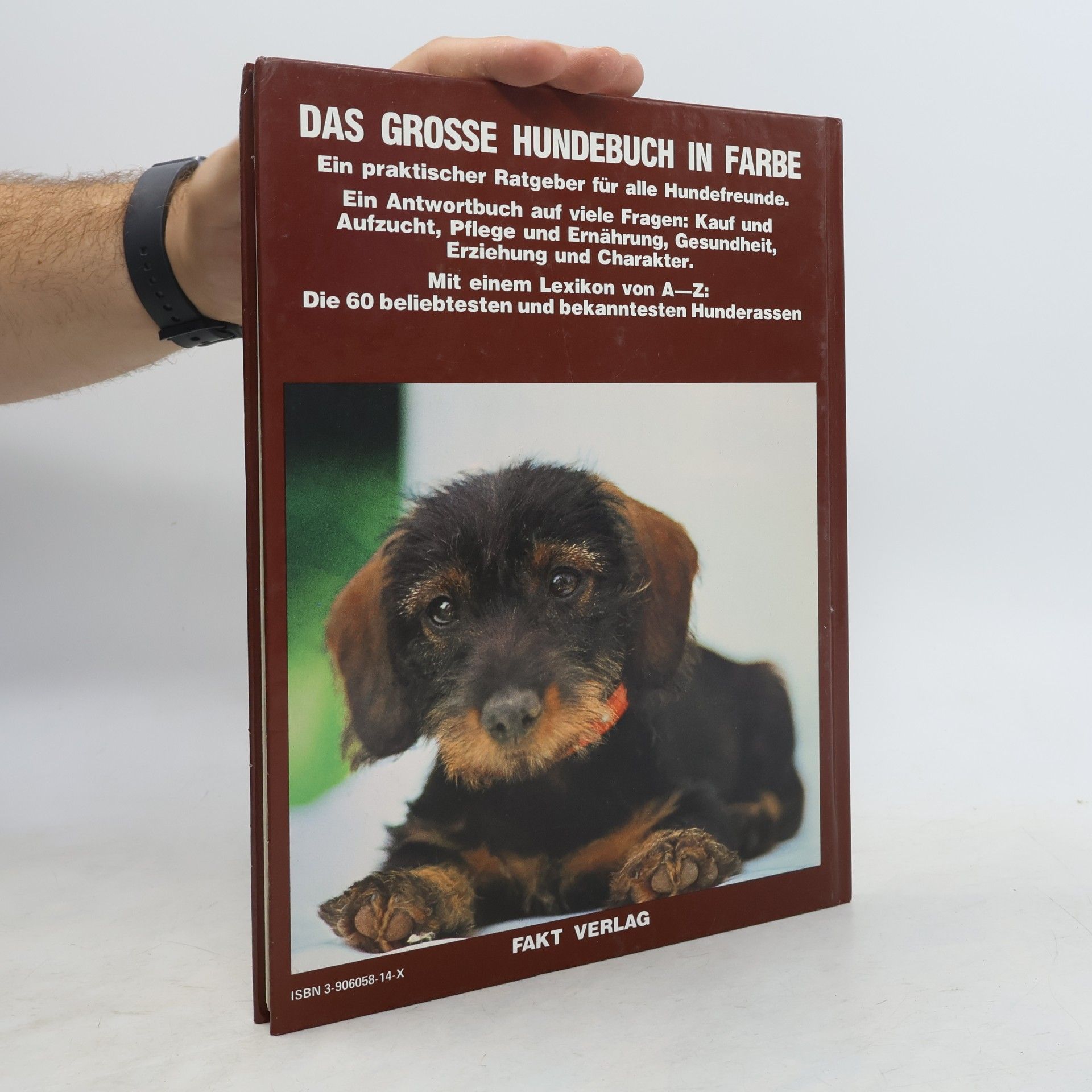 Heinz Sponsel Das grosse Hundebuch in Farbe