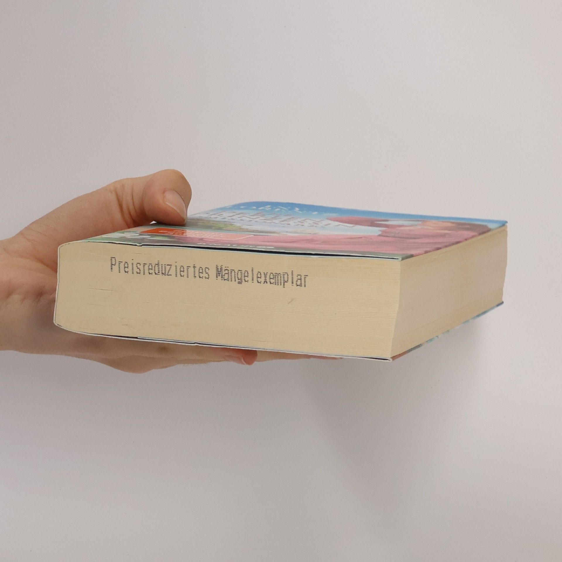 Iny Lorentz Die Perlenprinzessin. Missionare