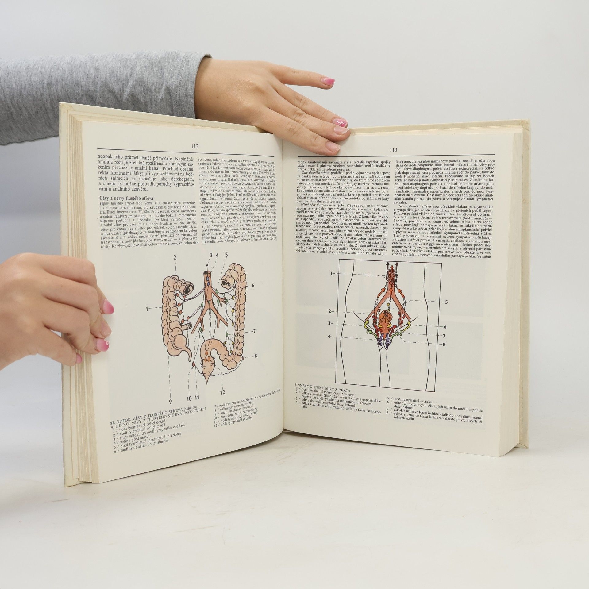 Radomír Čihák Anatomie 2