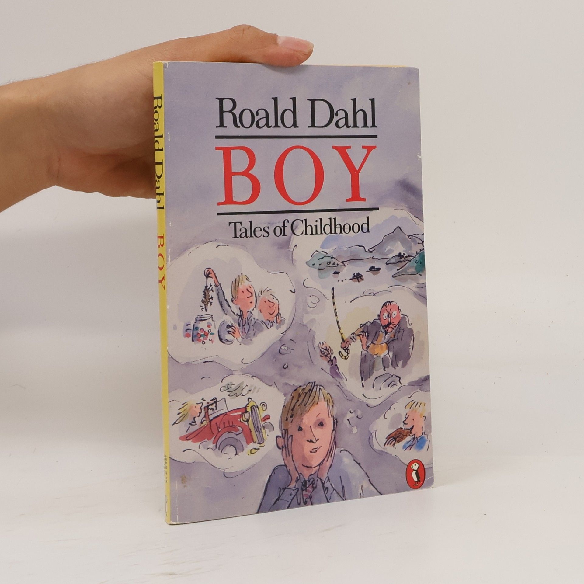 Roald Dahl Boy : tales of childhood
