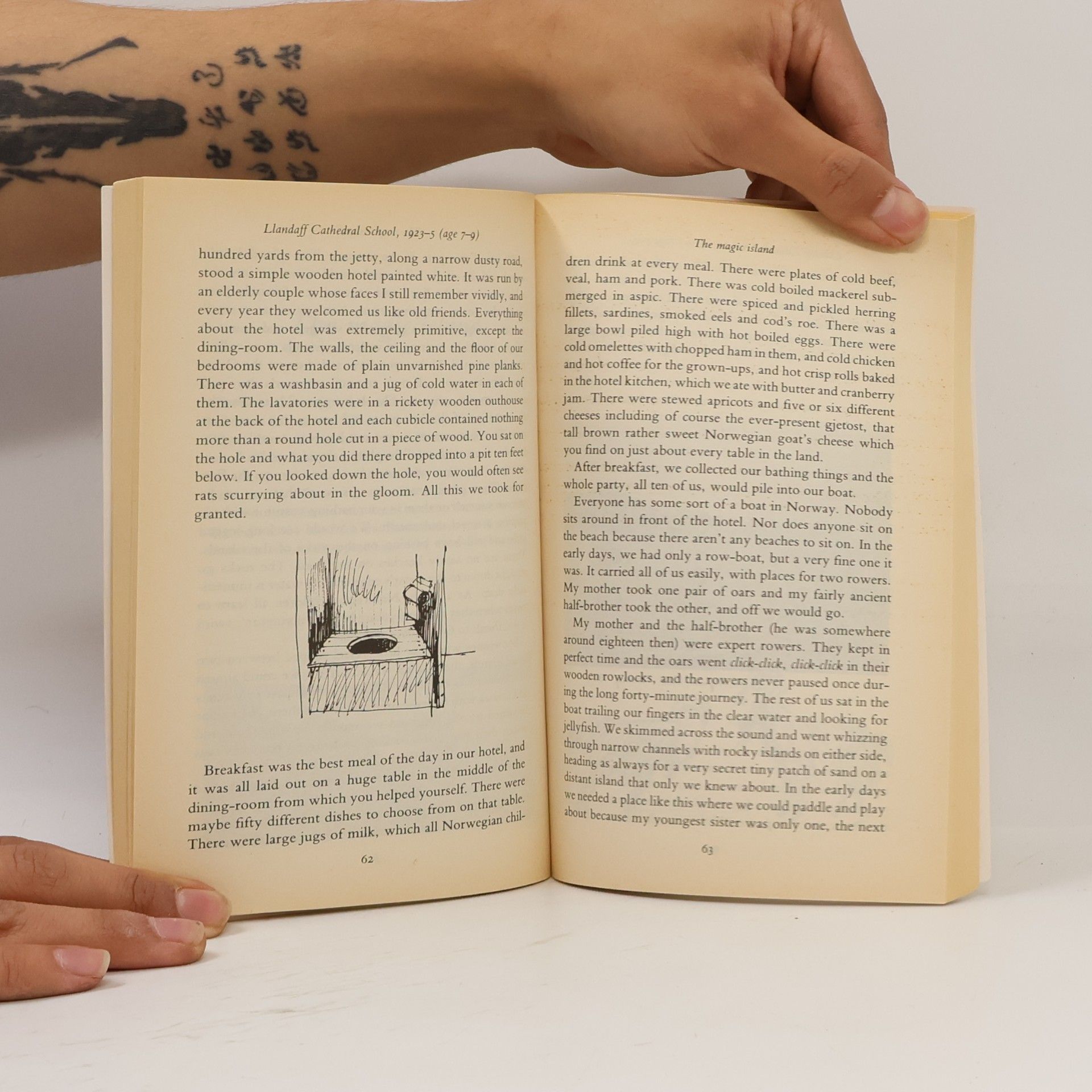 Roald Dahl Boy : tales of childhood