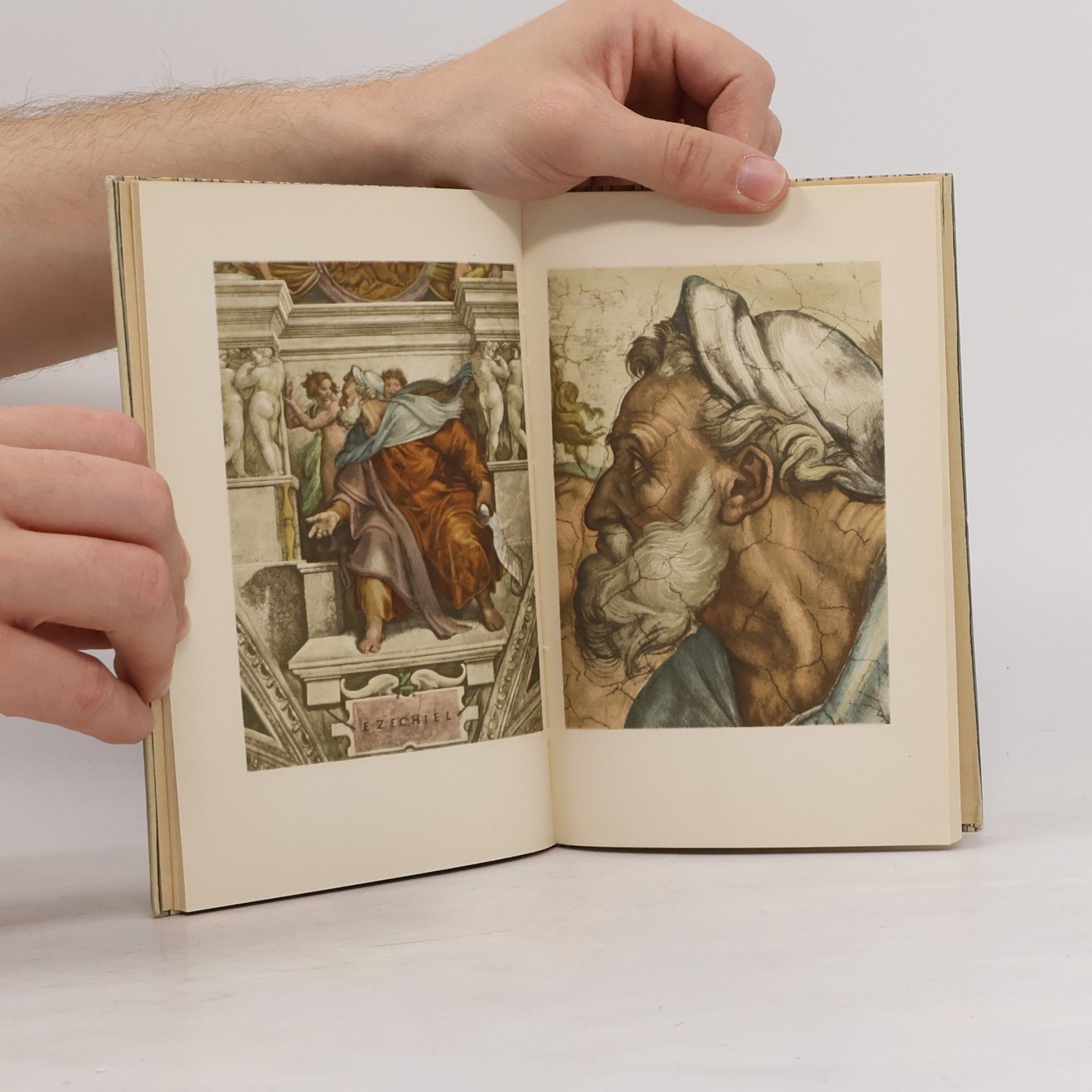 Michelangelo Sibyllen und Propheten