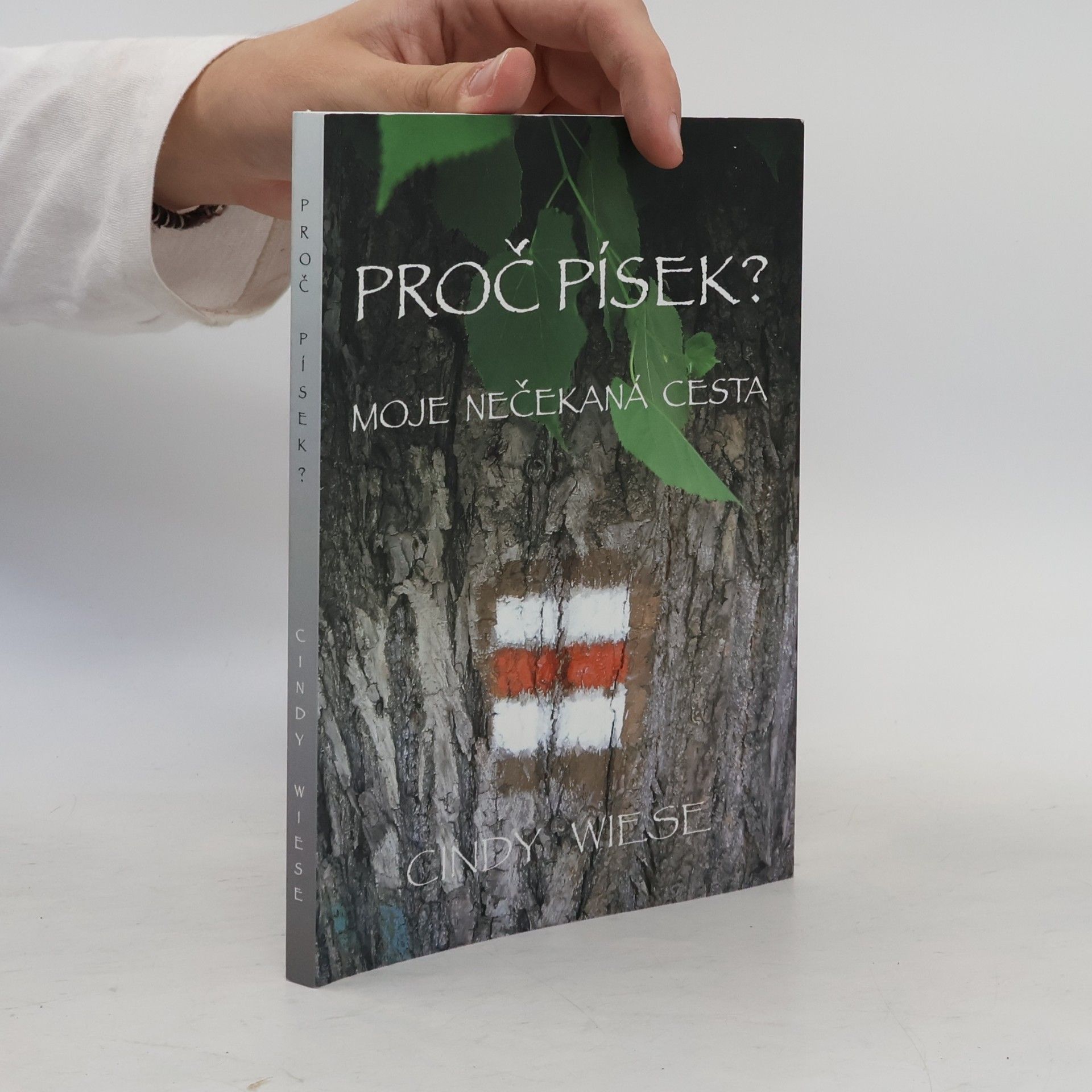 Cindy Wiese Proč Písek?