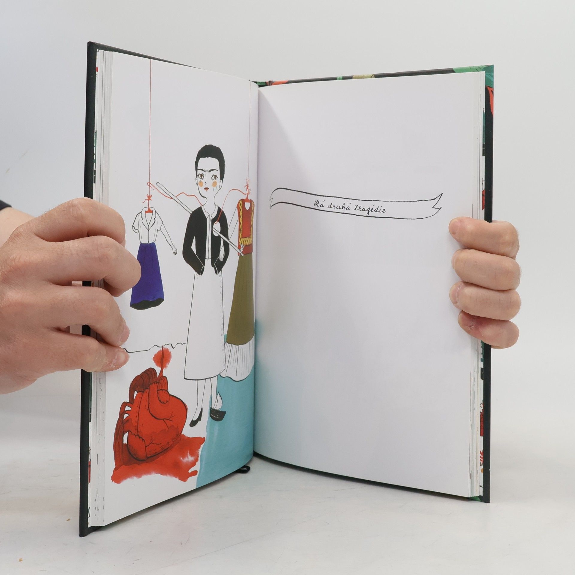 Mari a. Hesse Frida Kahlo: Ilustrovaný životopis