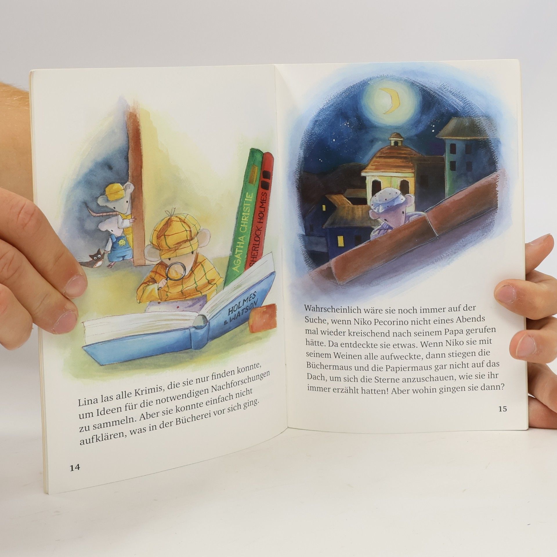 Chiara Fedele Rieders Kleine Lesebibliothek: Geheimnis in der Mäusebücherei