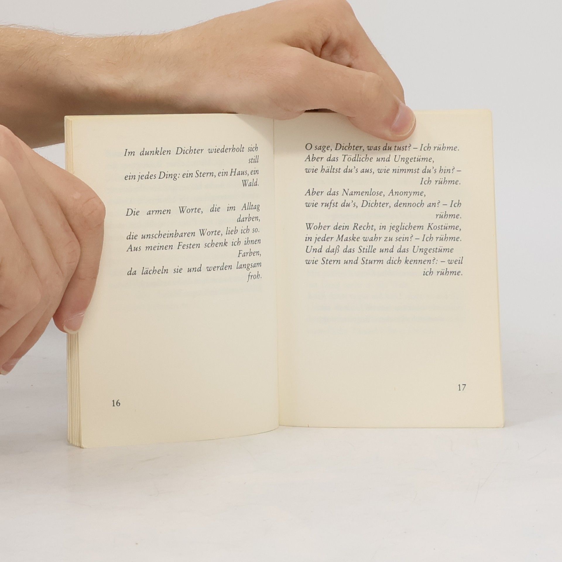 Rainer Maria Rilke Ausgewählte Kostbarkeiten