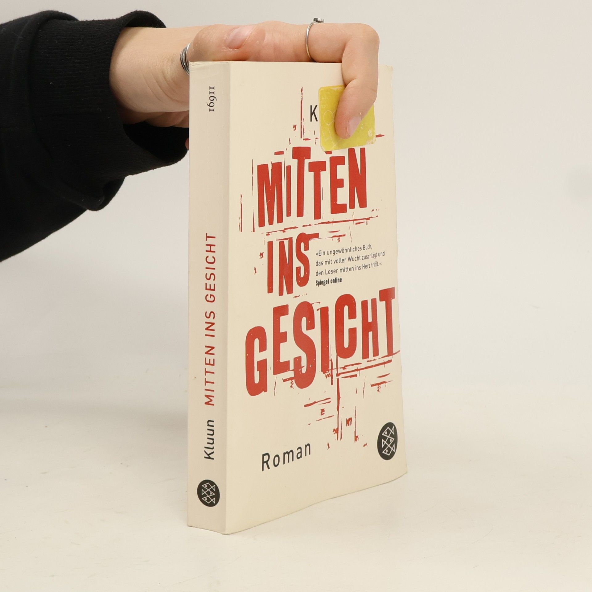 Ray Kluun Mitten ins Gesicht