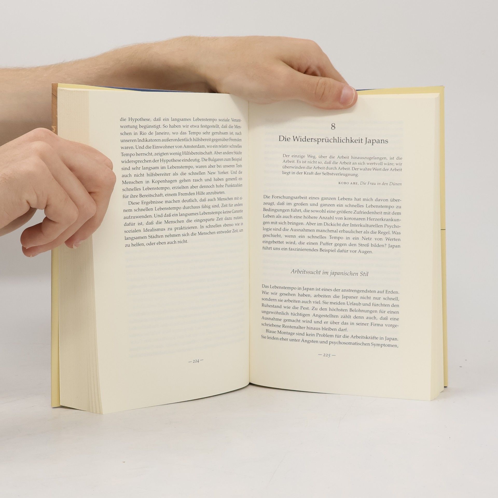 Robert Levine Eine Landkarte der Zeit