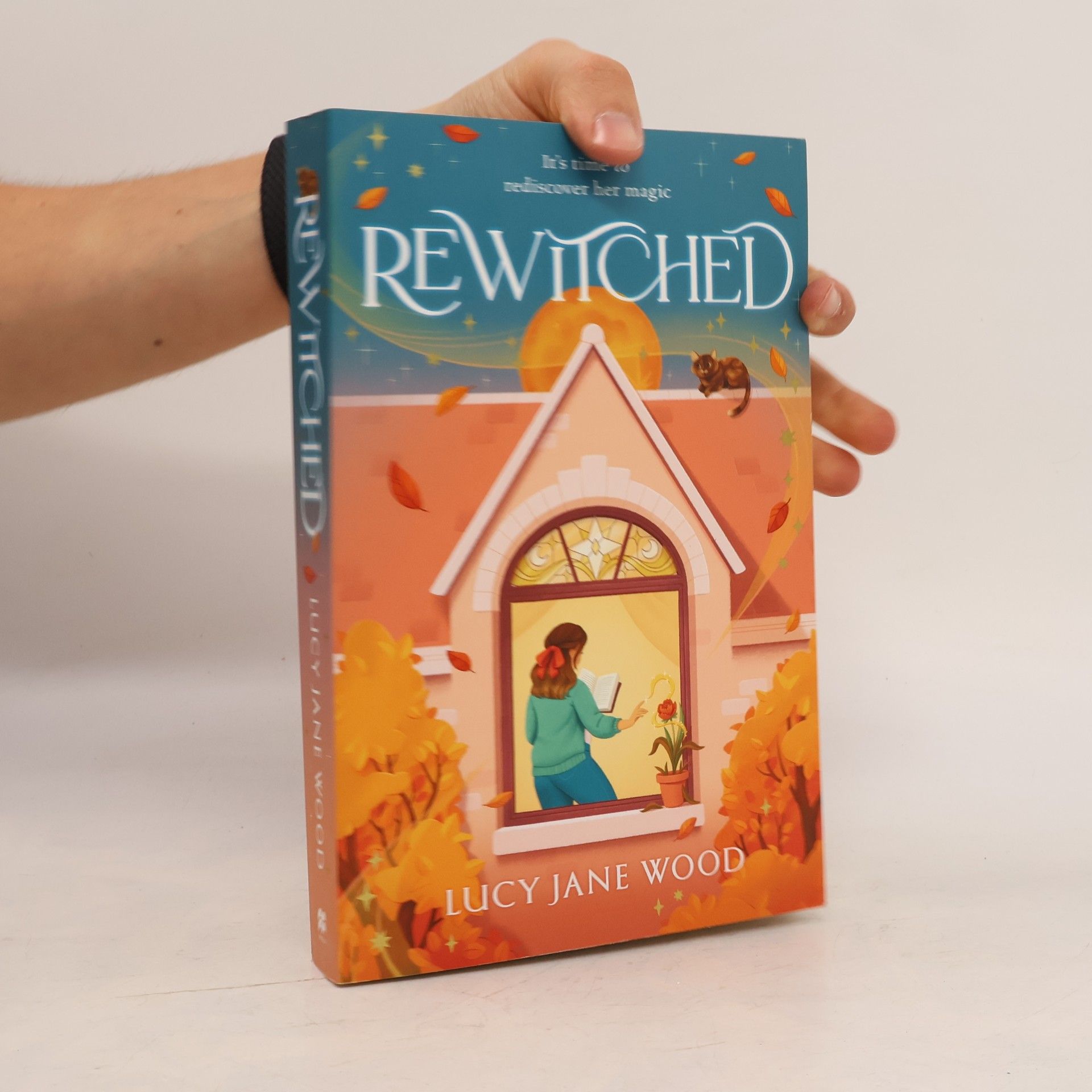 Lucy Jane Wood Rewitched
