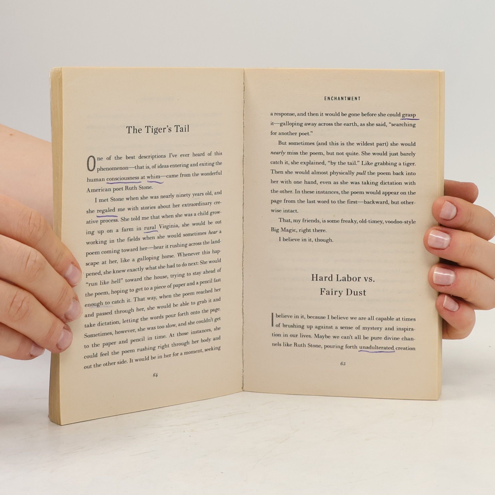 Elizabeth Gilbert Big Magic